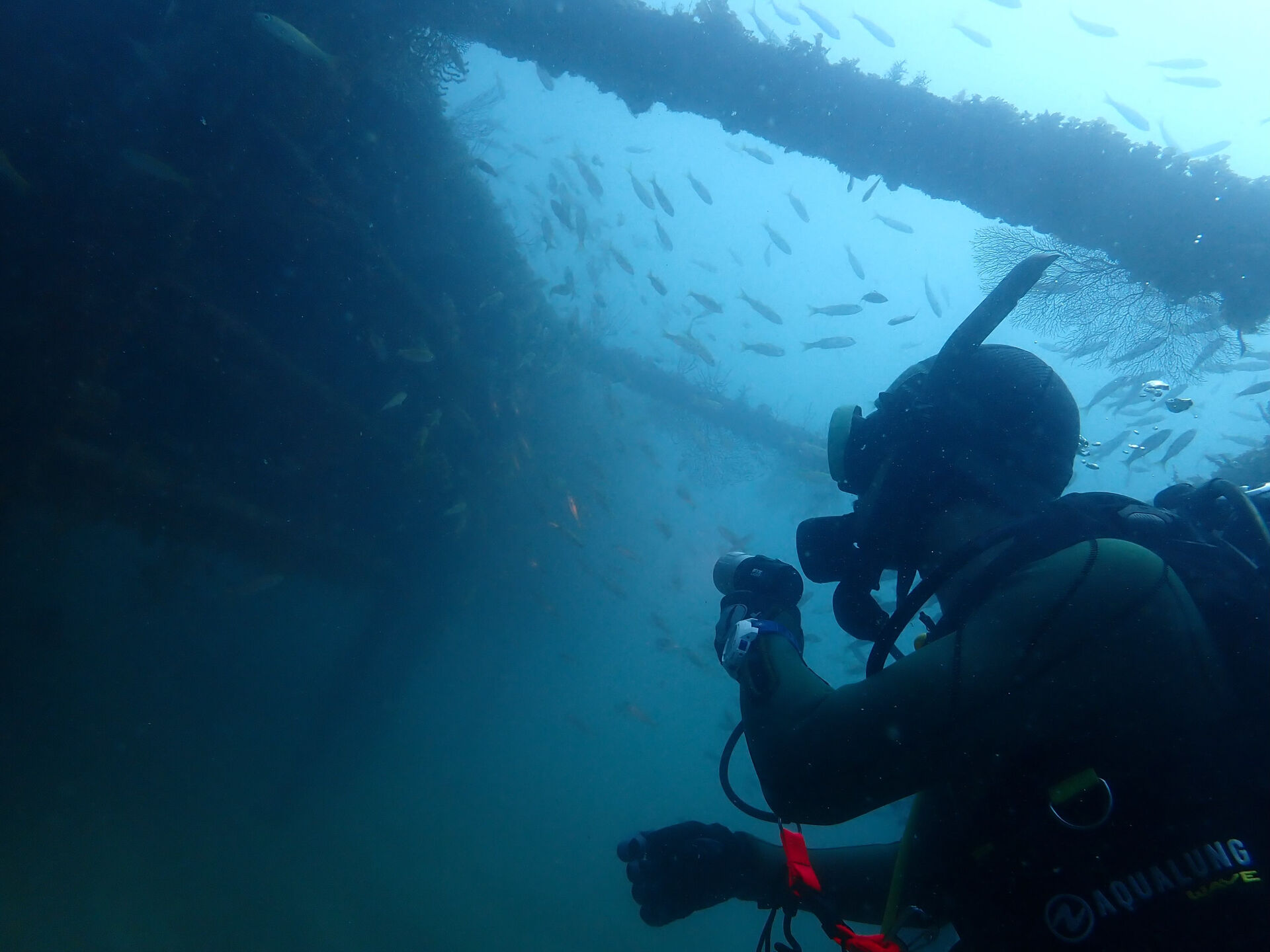 @rk.diving 