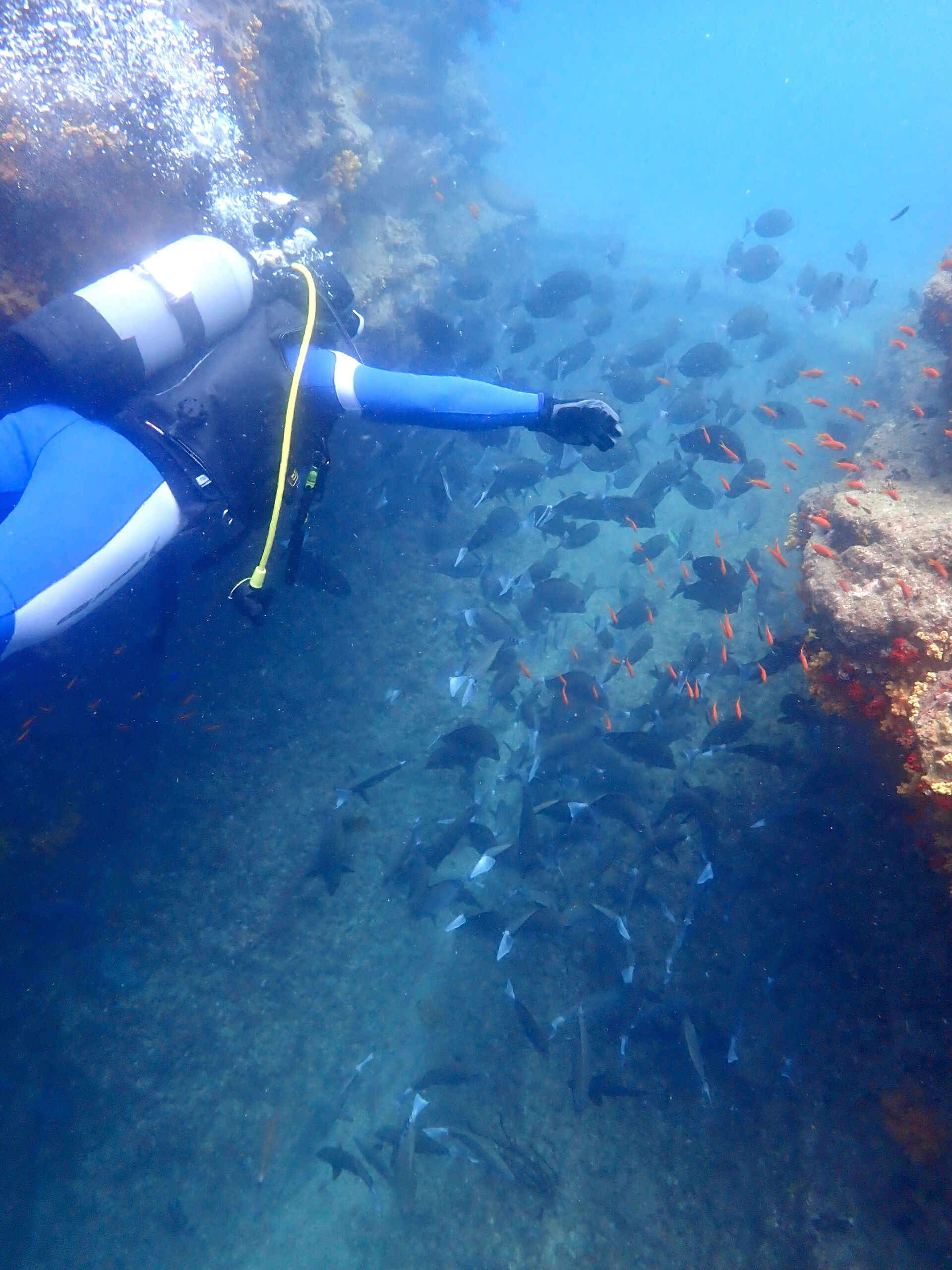 @rk.diving 