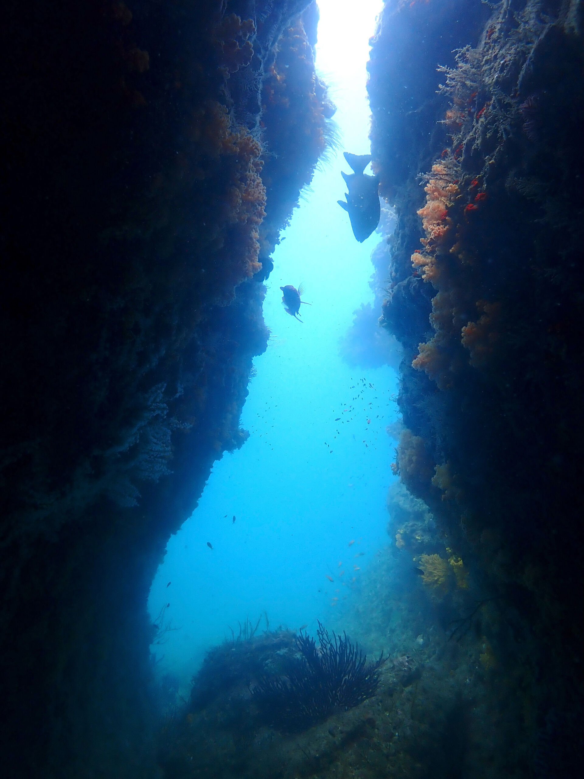 @rk.diving 