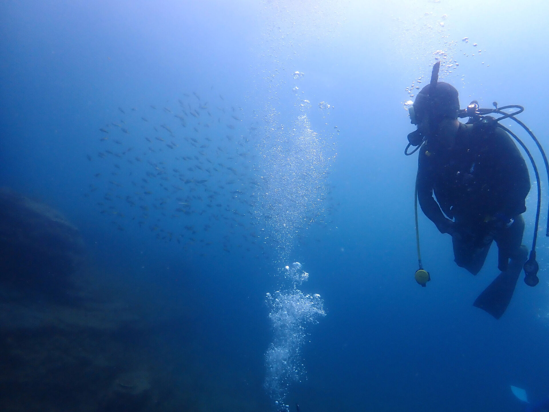 @rk.diving 