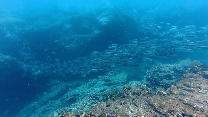 @rk.diving 