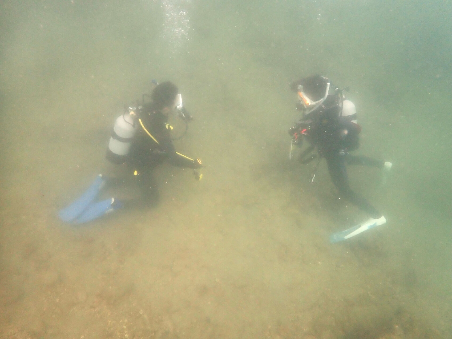 @rk.diving 