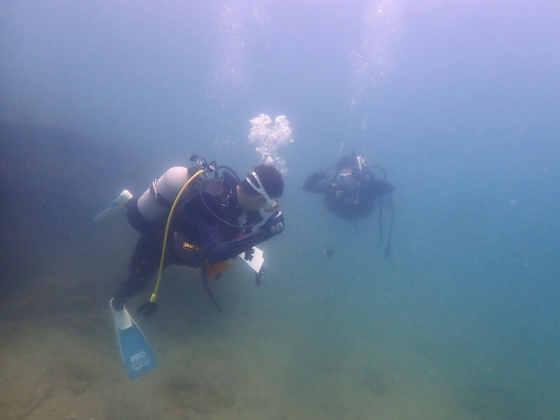 @rk.diving 