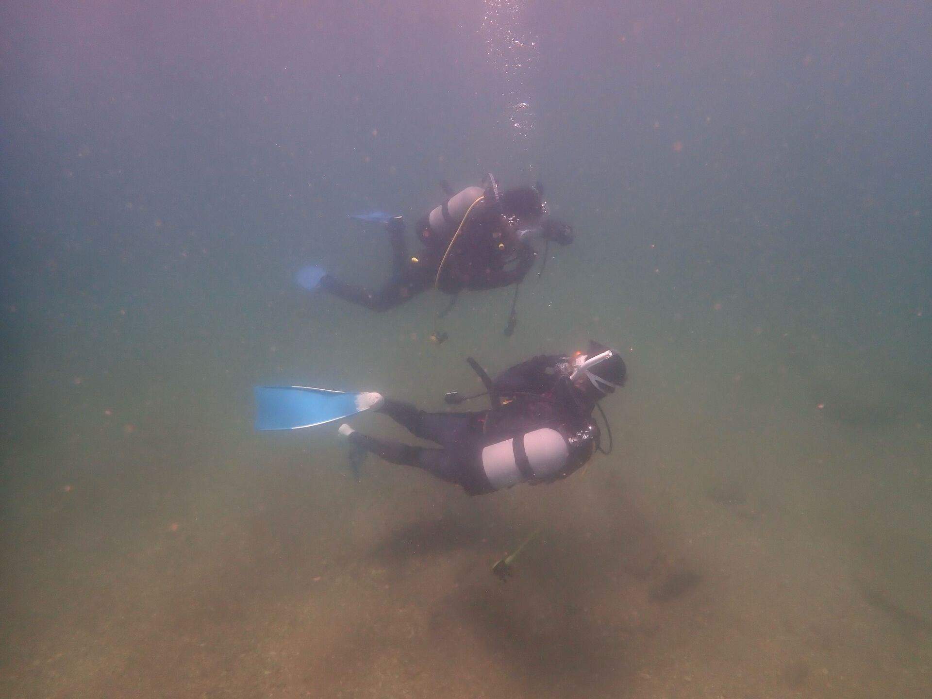 @rk.diving 