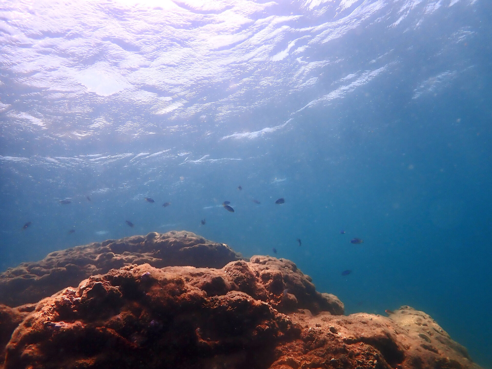 @rk.diving 