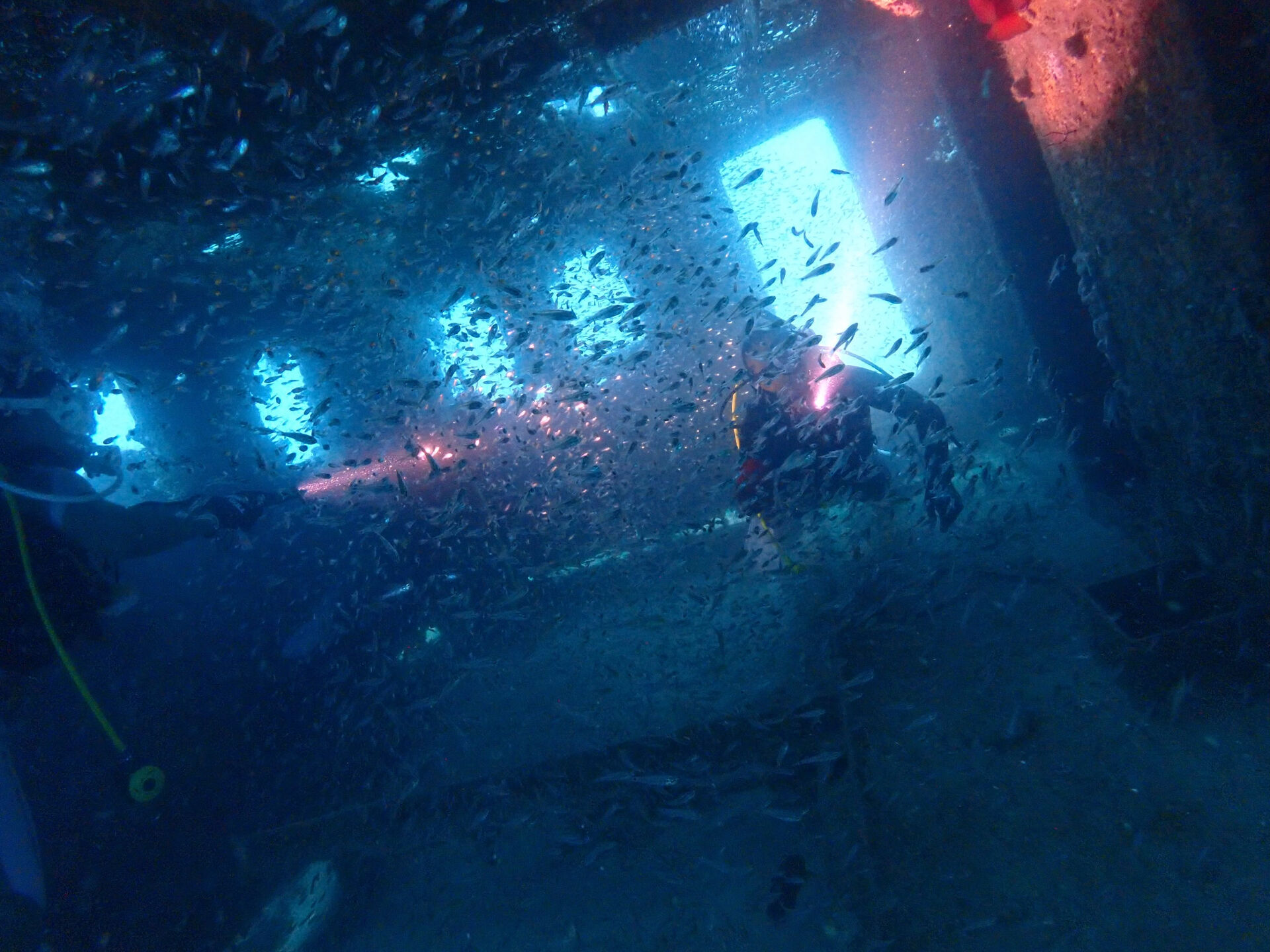 @rk.diving 