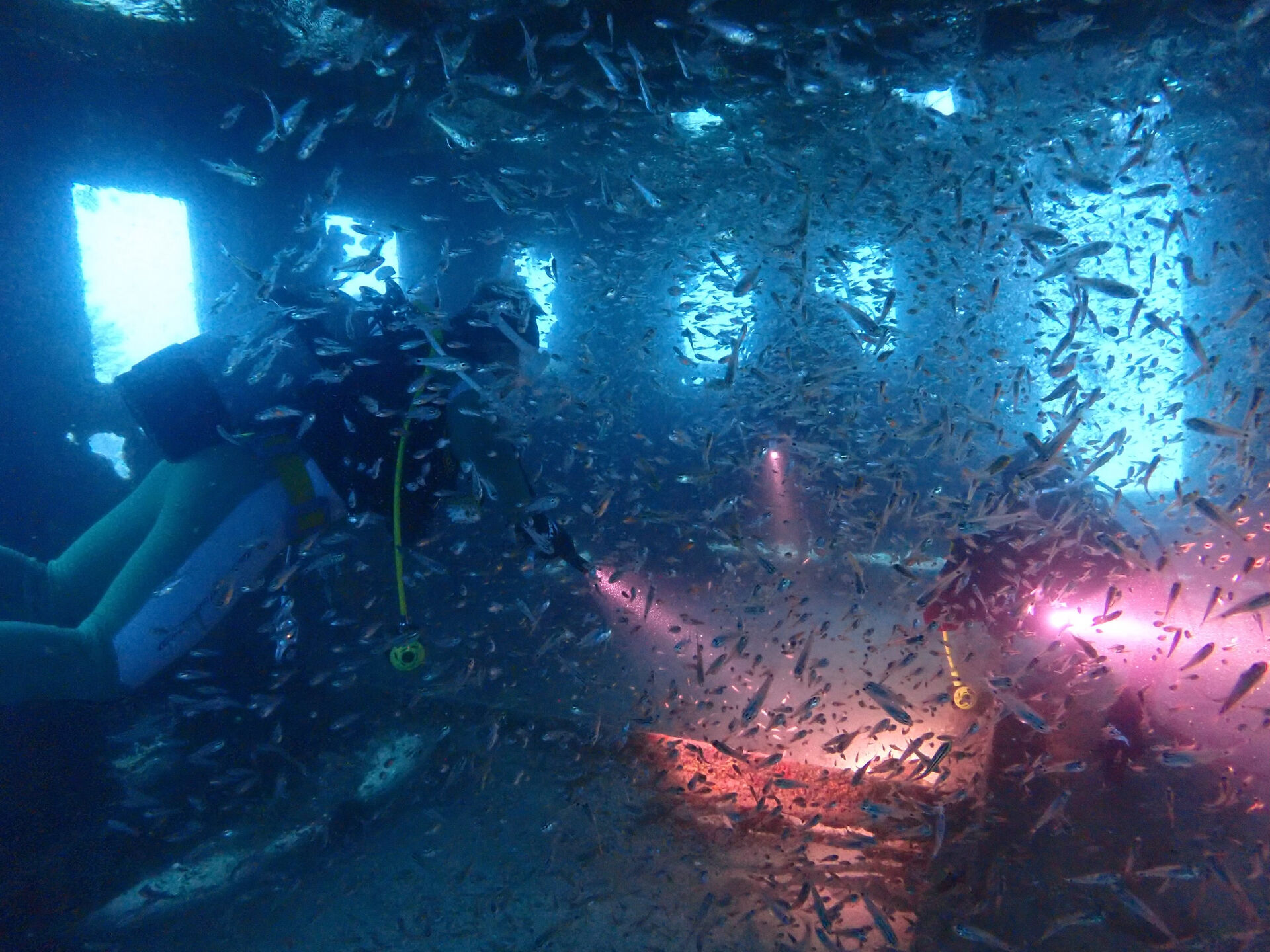 @rk.diving 