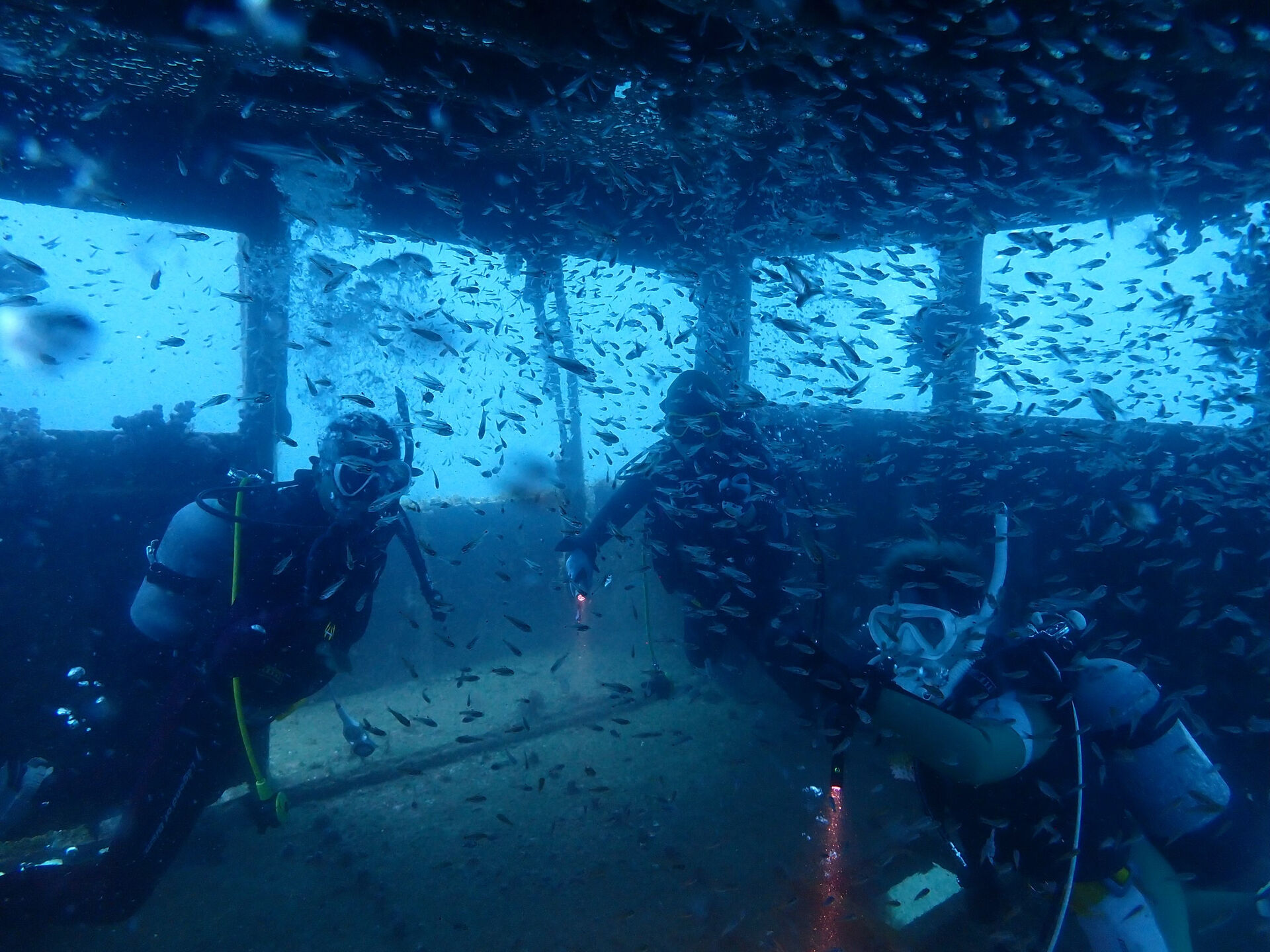 @rk.diving 