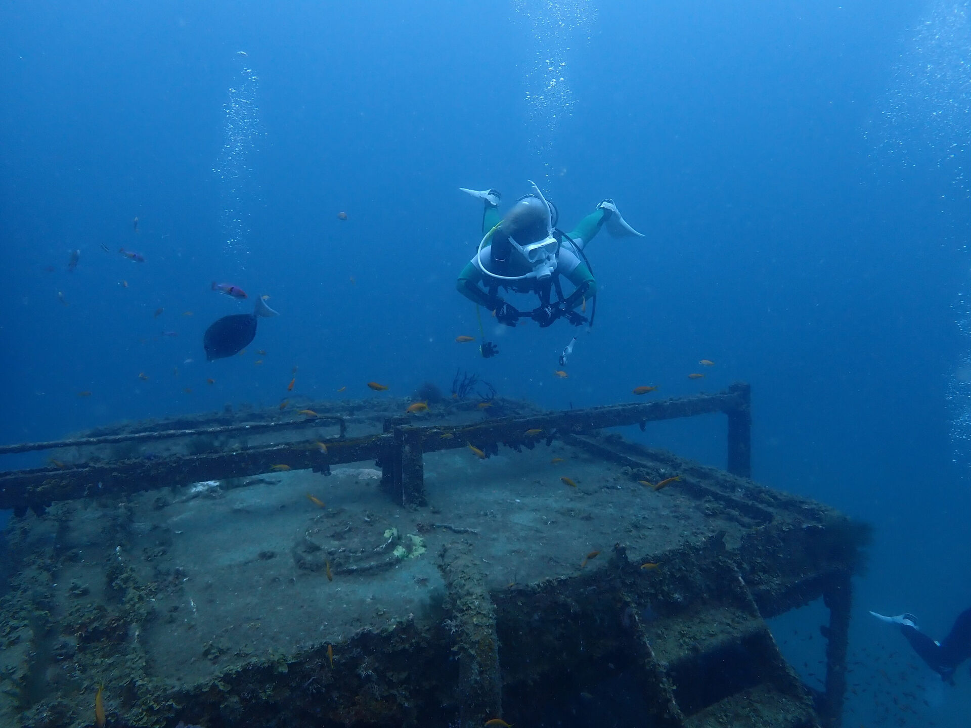 @rk.diving 