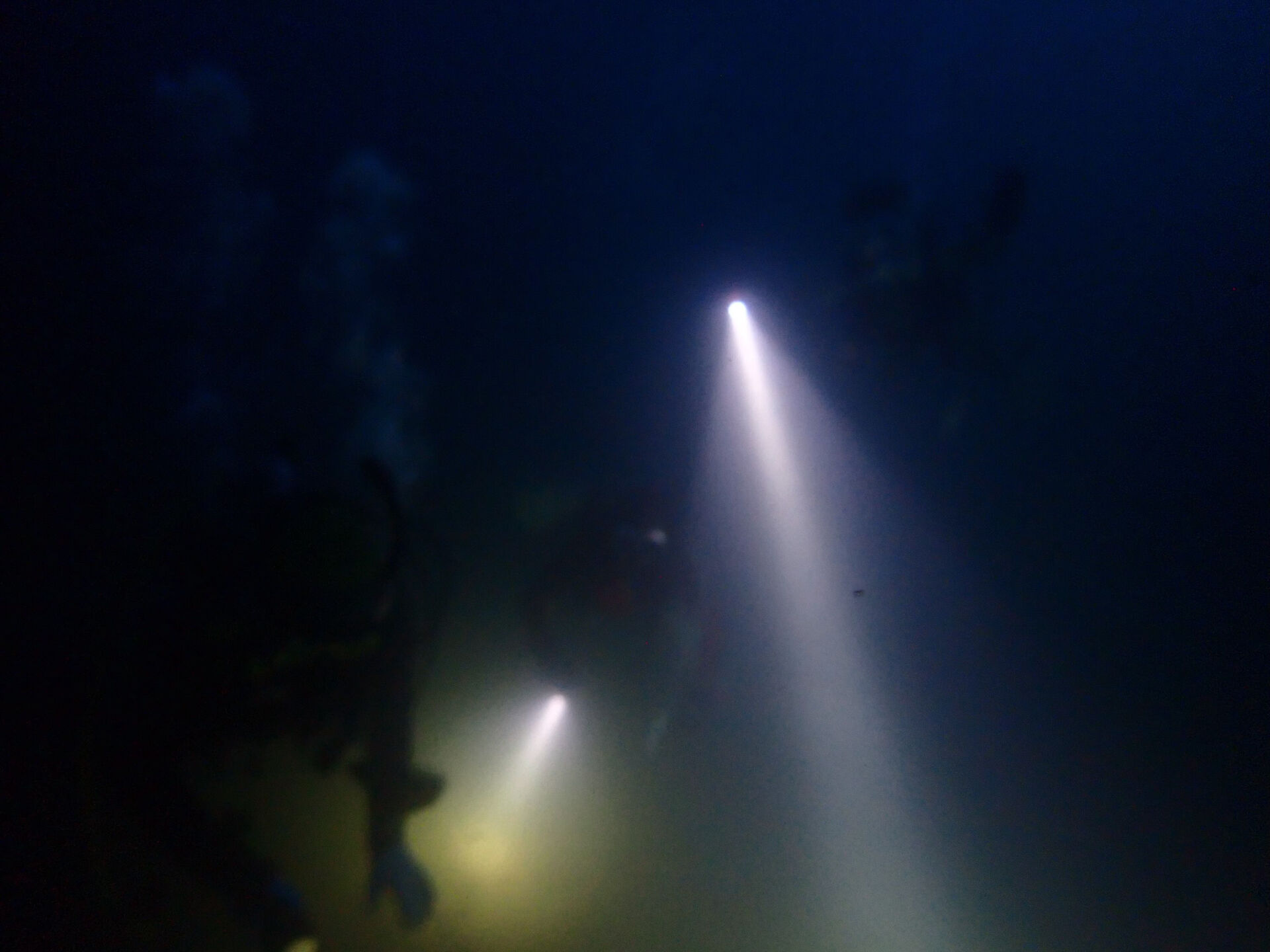 @rk.diving 