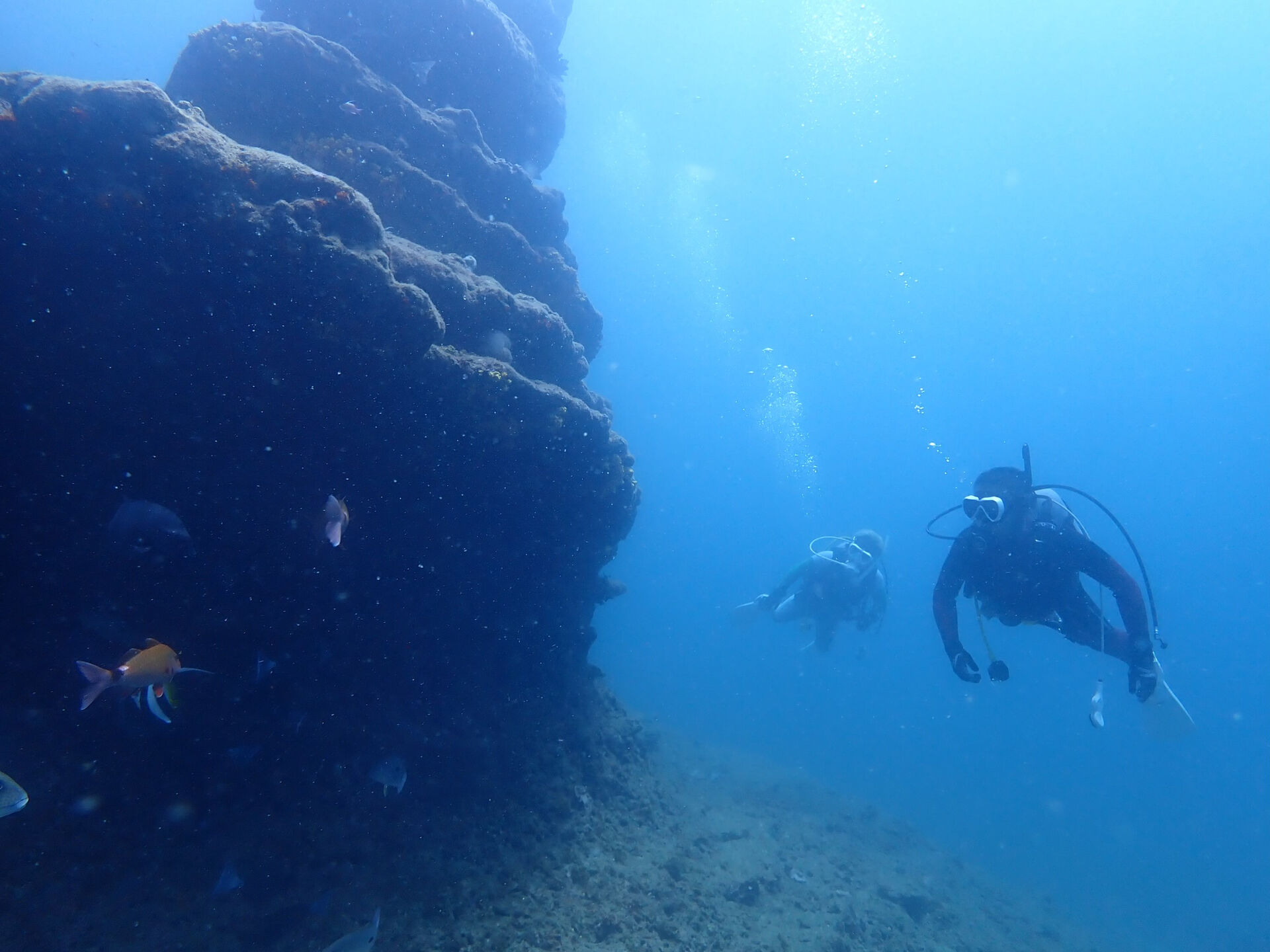 @rk.diving 