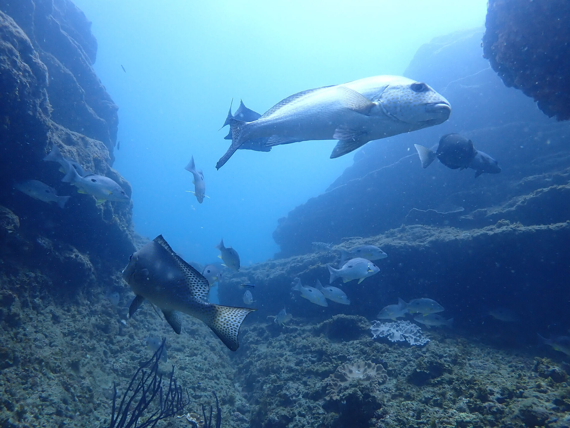 @rk.diving 