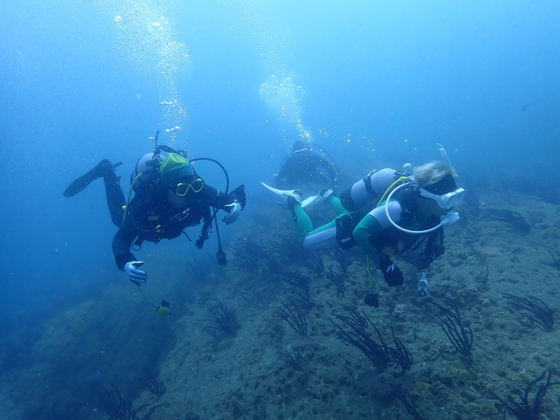 @rk.diving 
