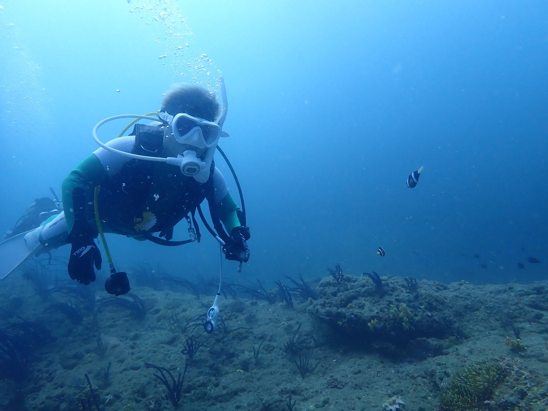 @rk.diving 