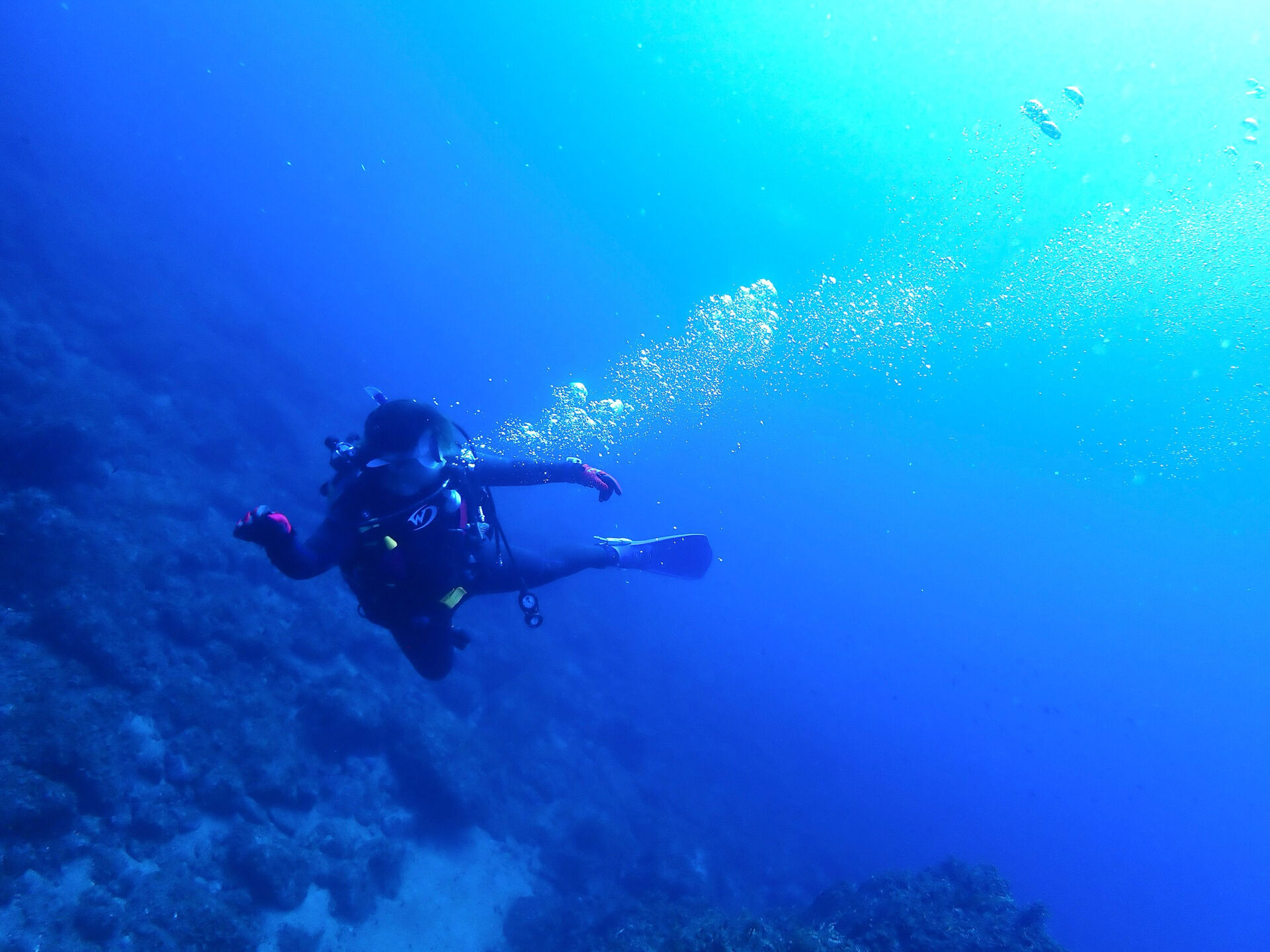 @rk.diving 
