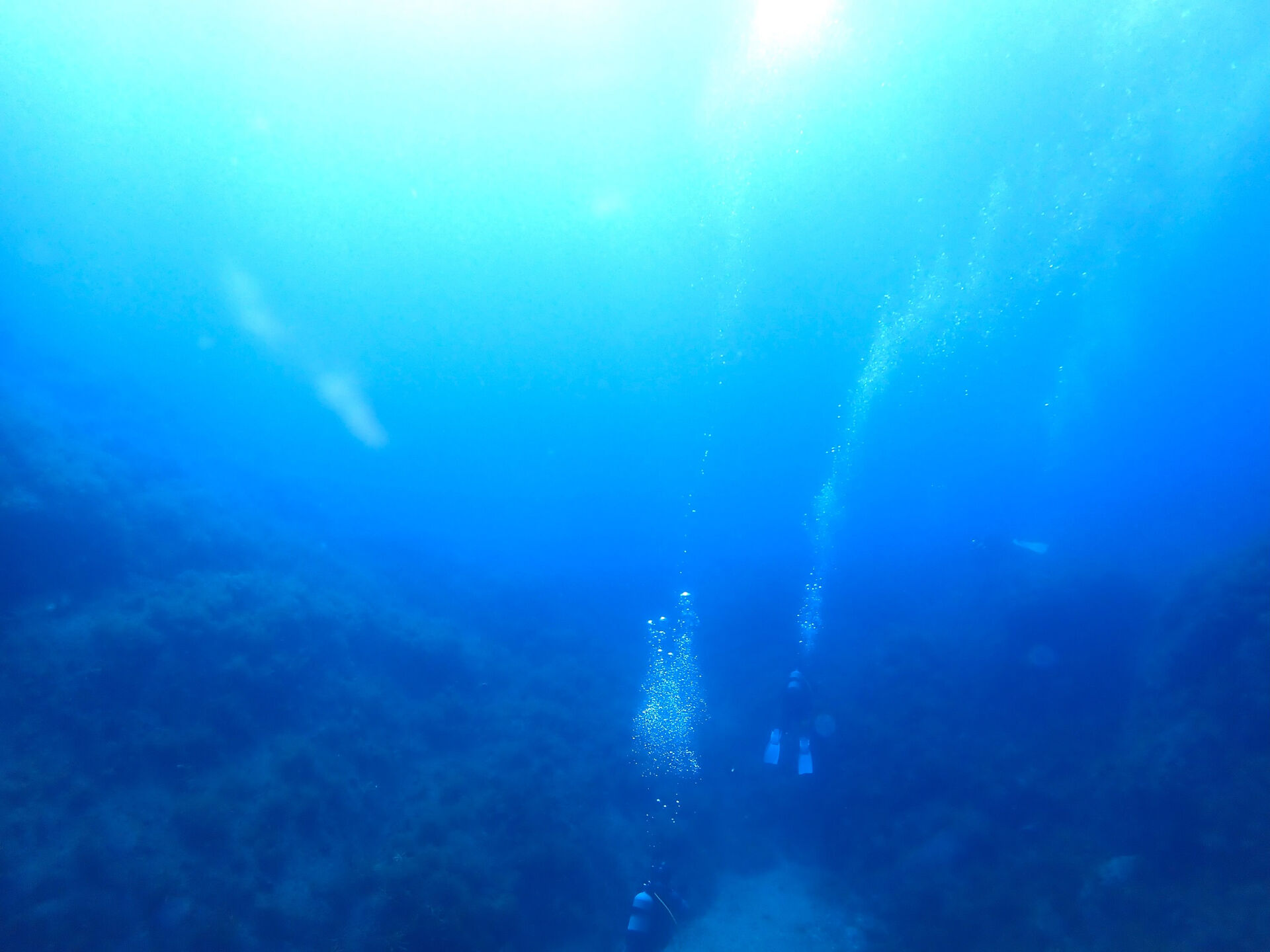 @rk.diving 
