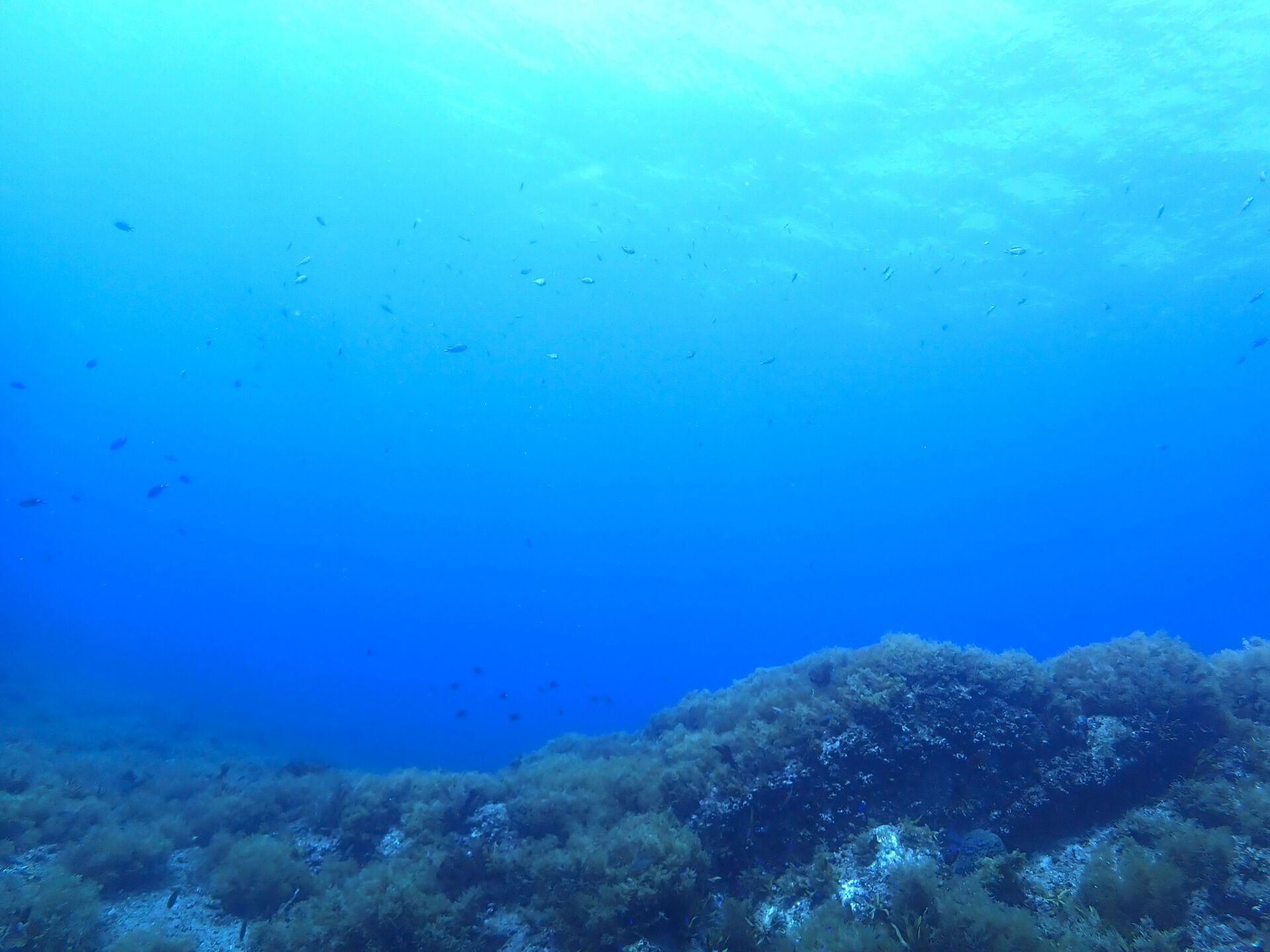 @rk.diving 