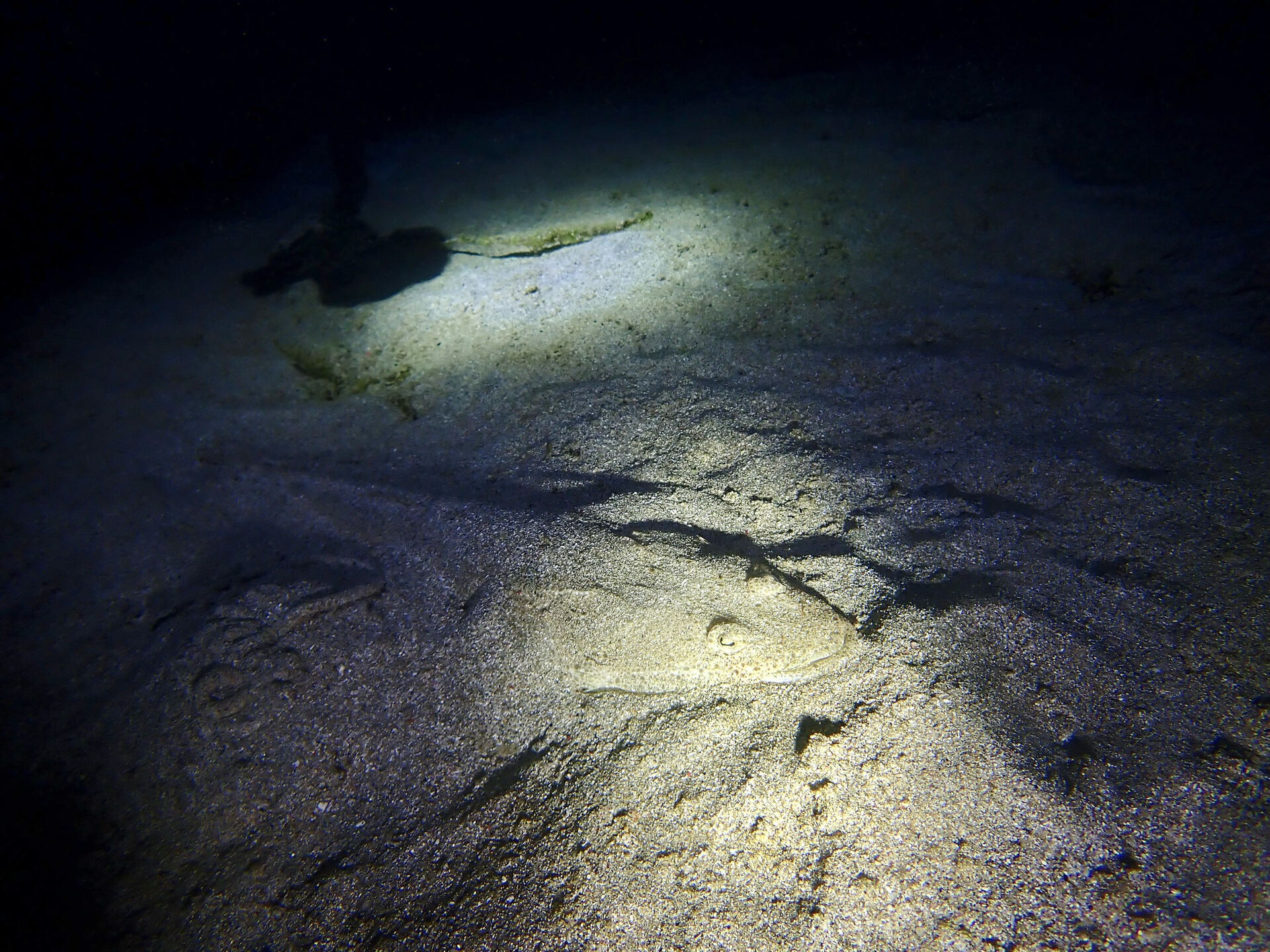 @rk.diving 