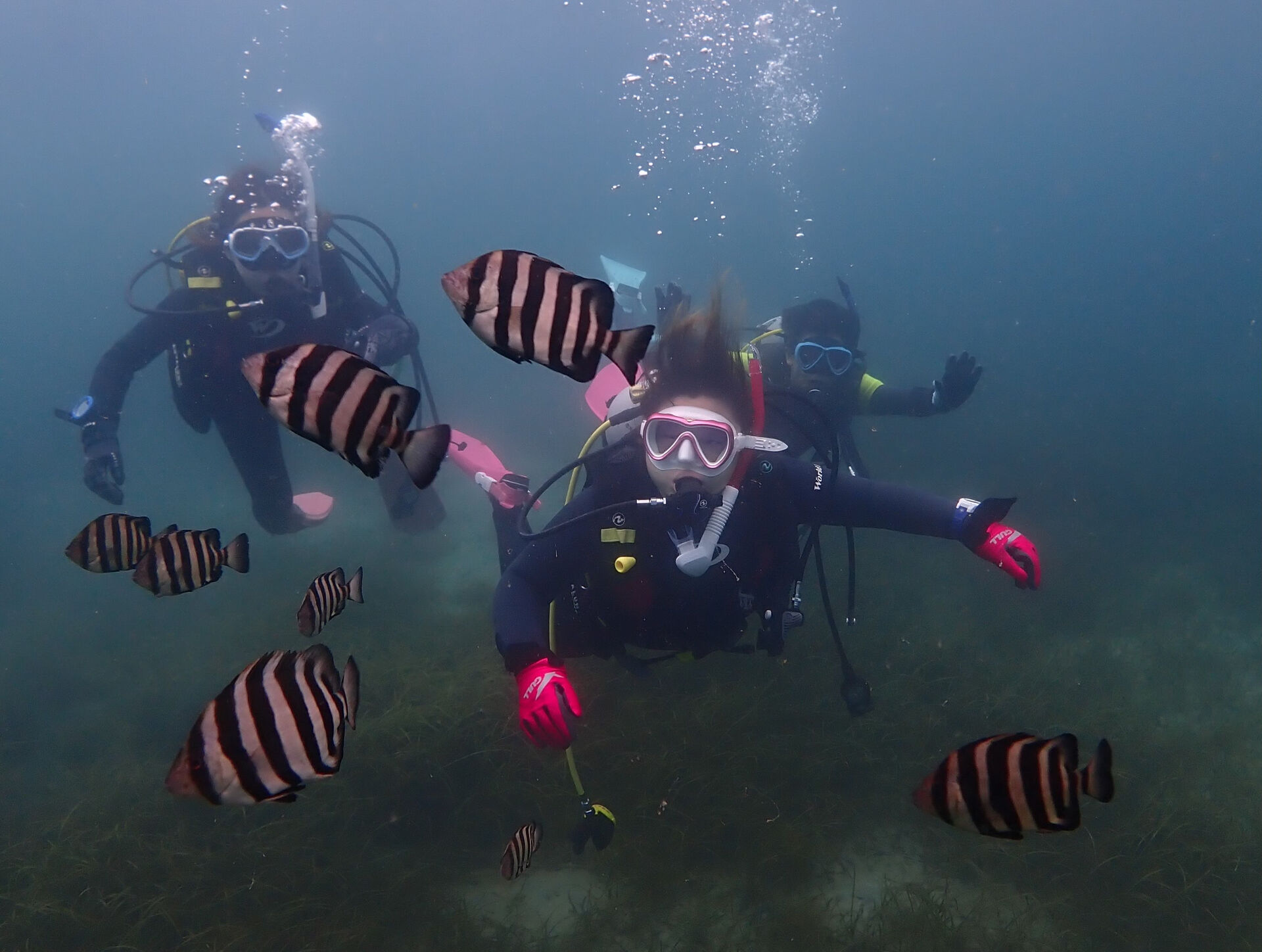 @rk.diving 