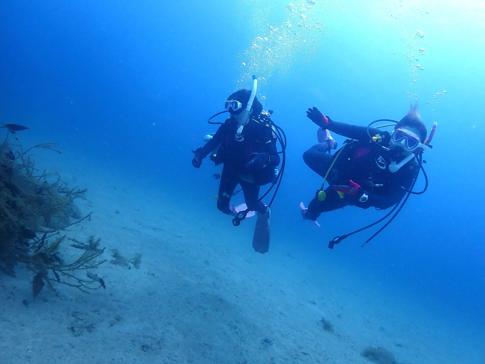 @rk.diving 