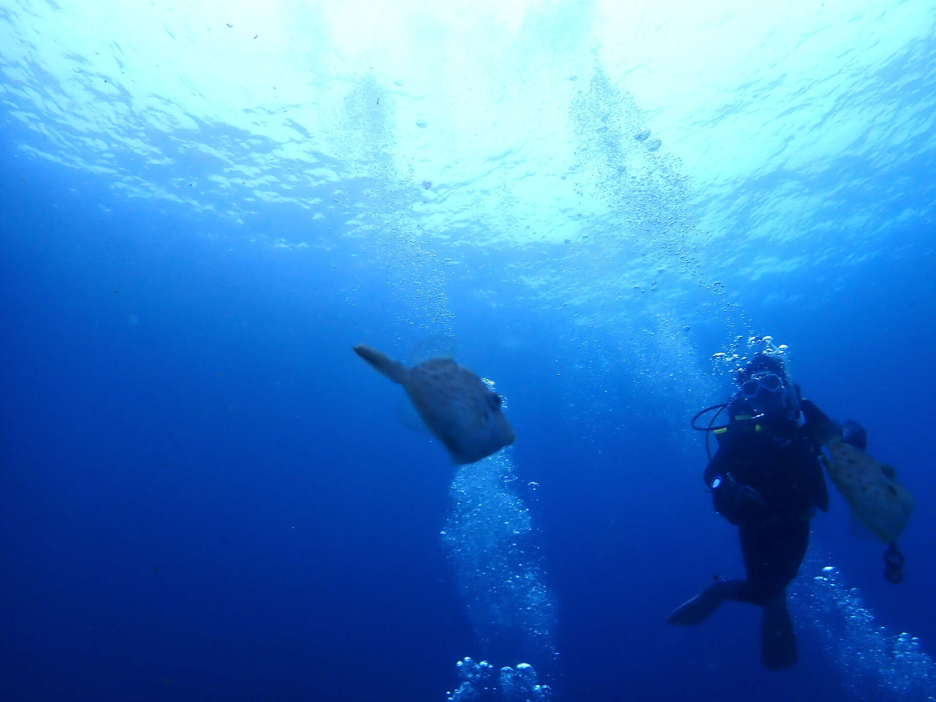 @rk.diving 