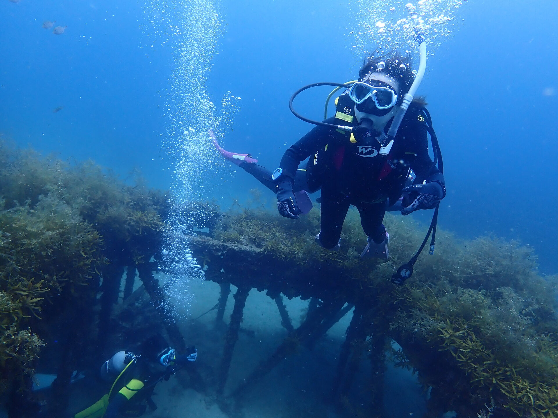 @rk.diving 