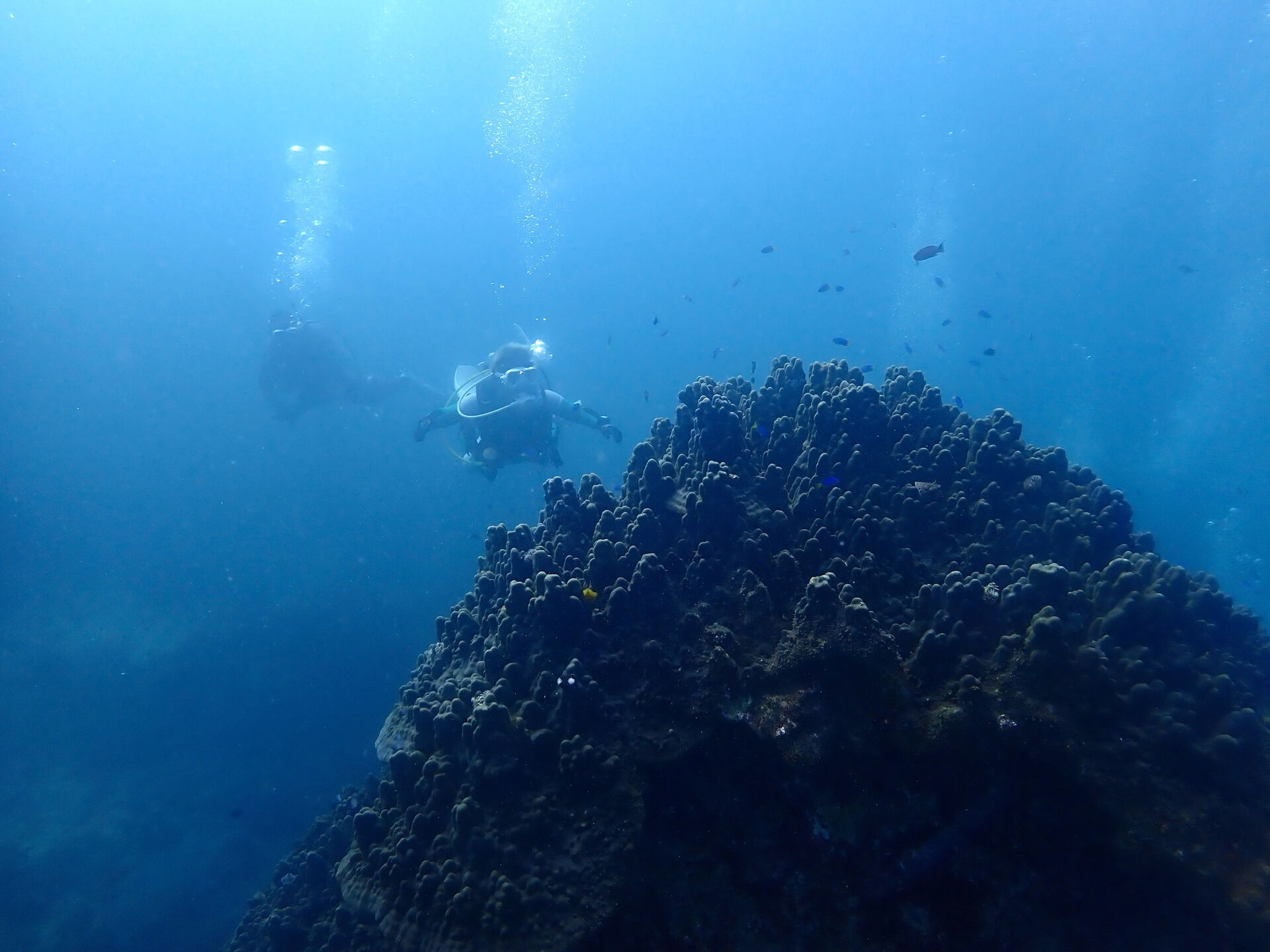 @rk.diving 