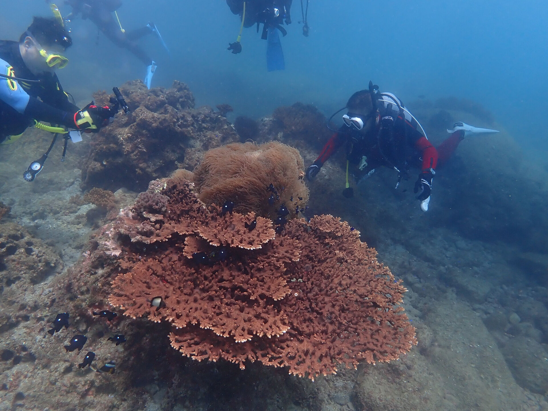 @rk.diving 
