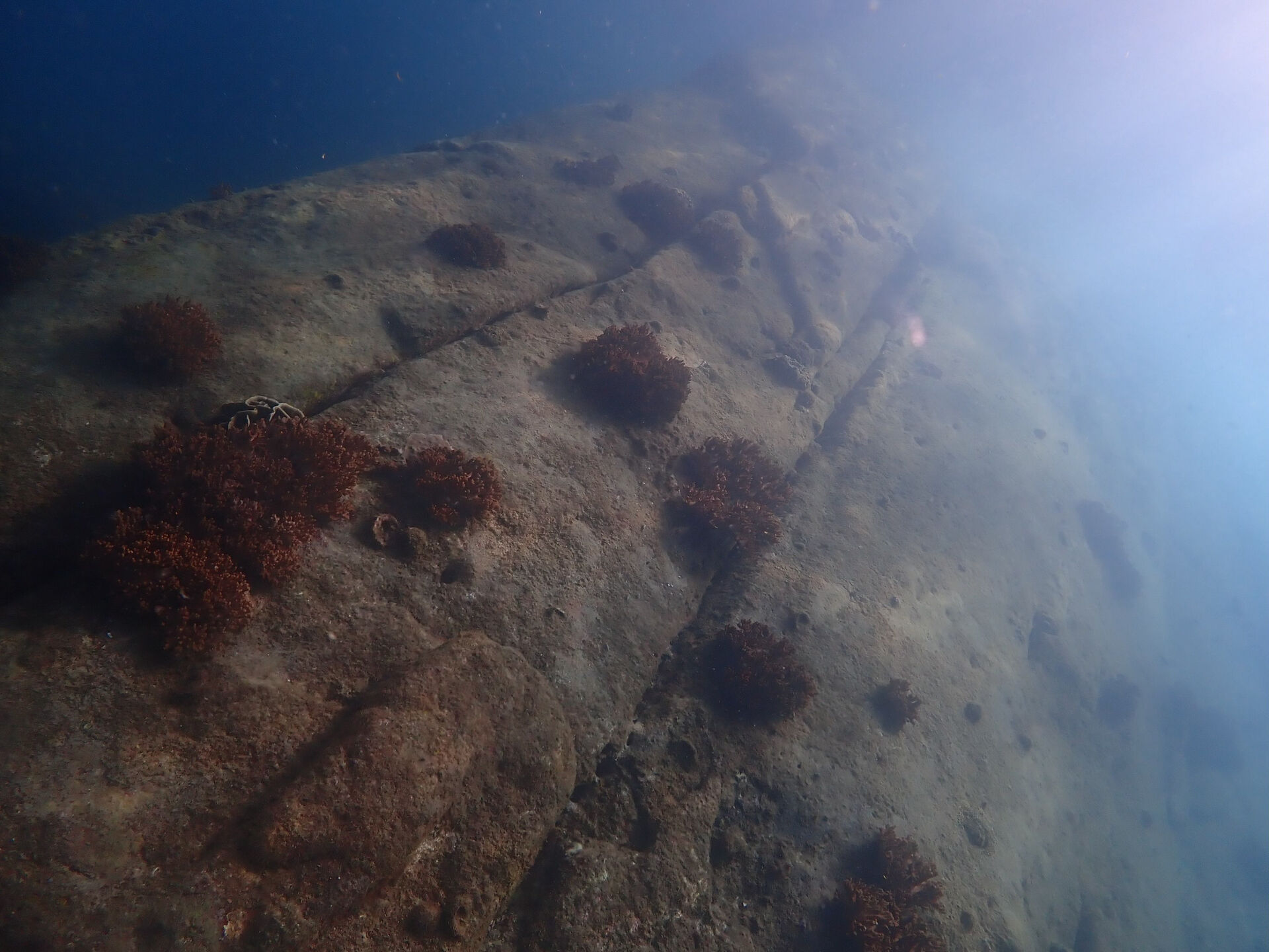 @rk.diving 