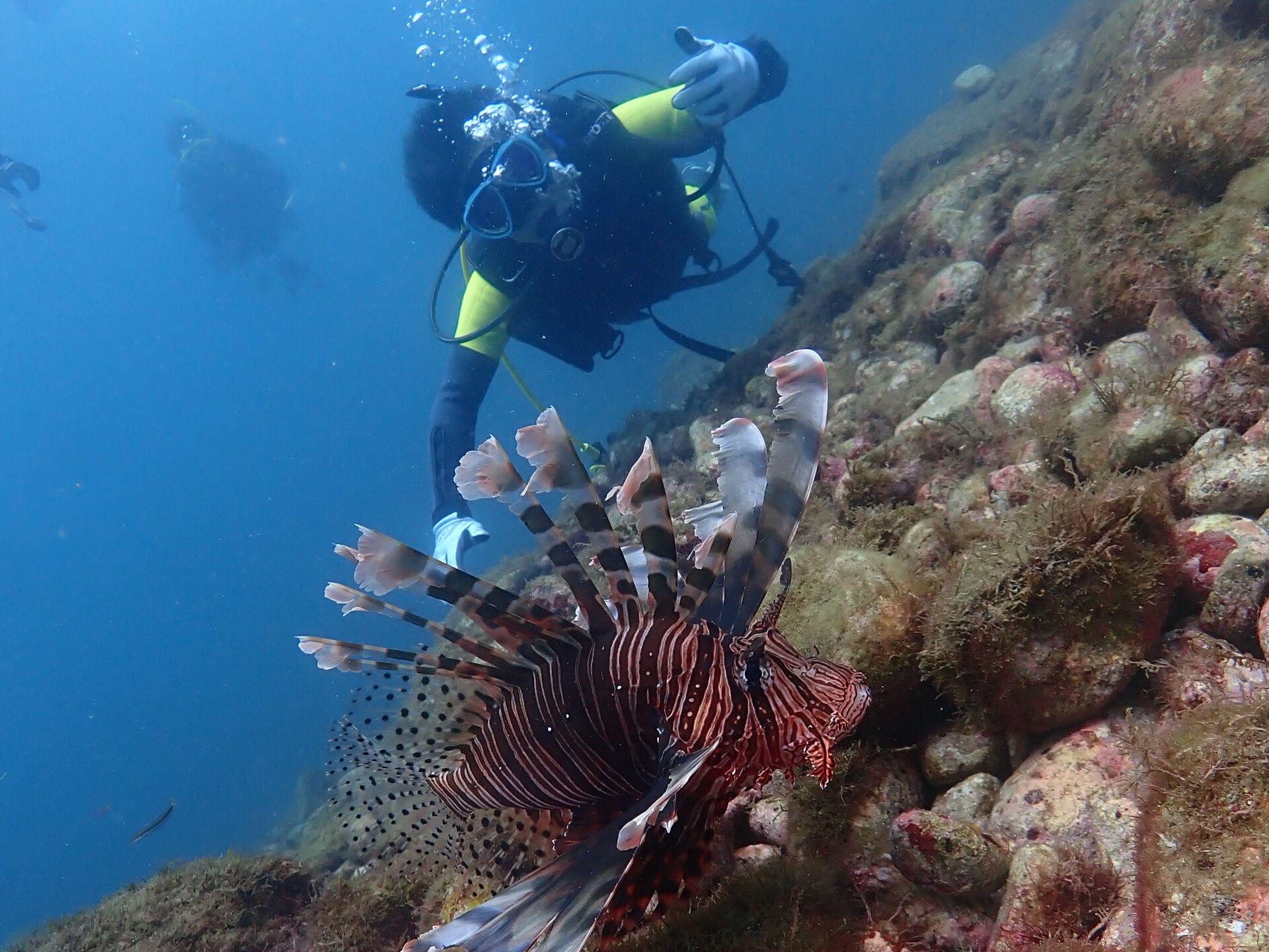 @rk.diving 