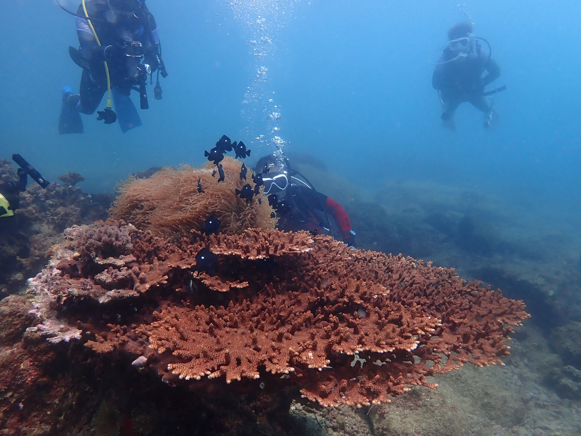 @rk.diving 