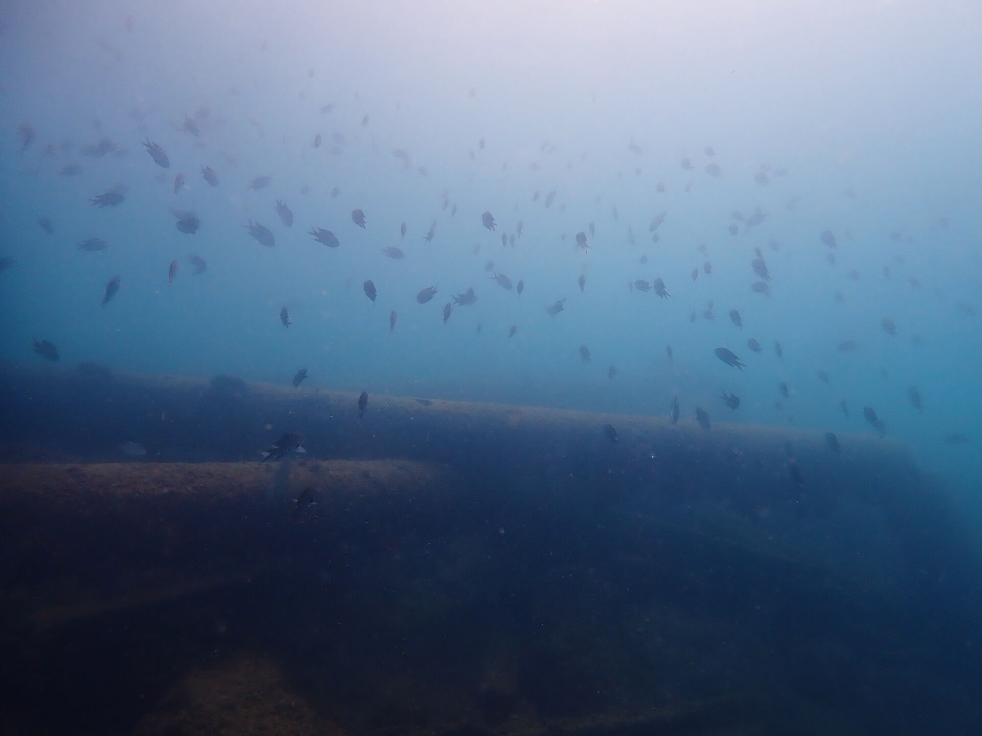 @rk.diving