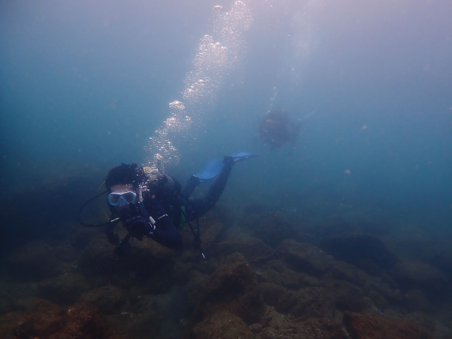 @rk.diving