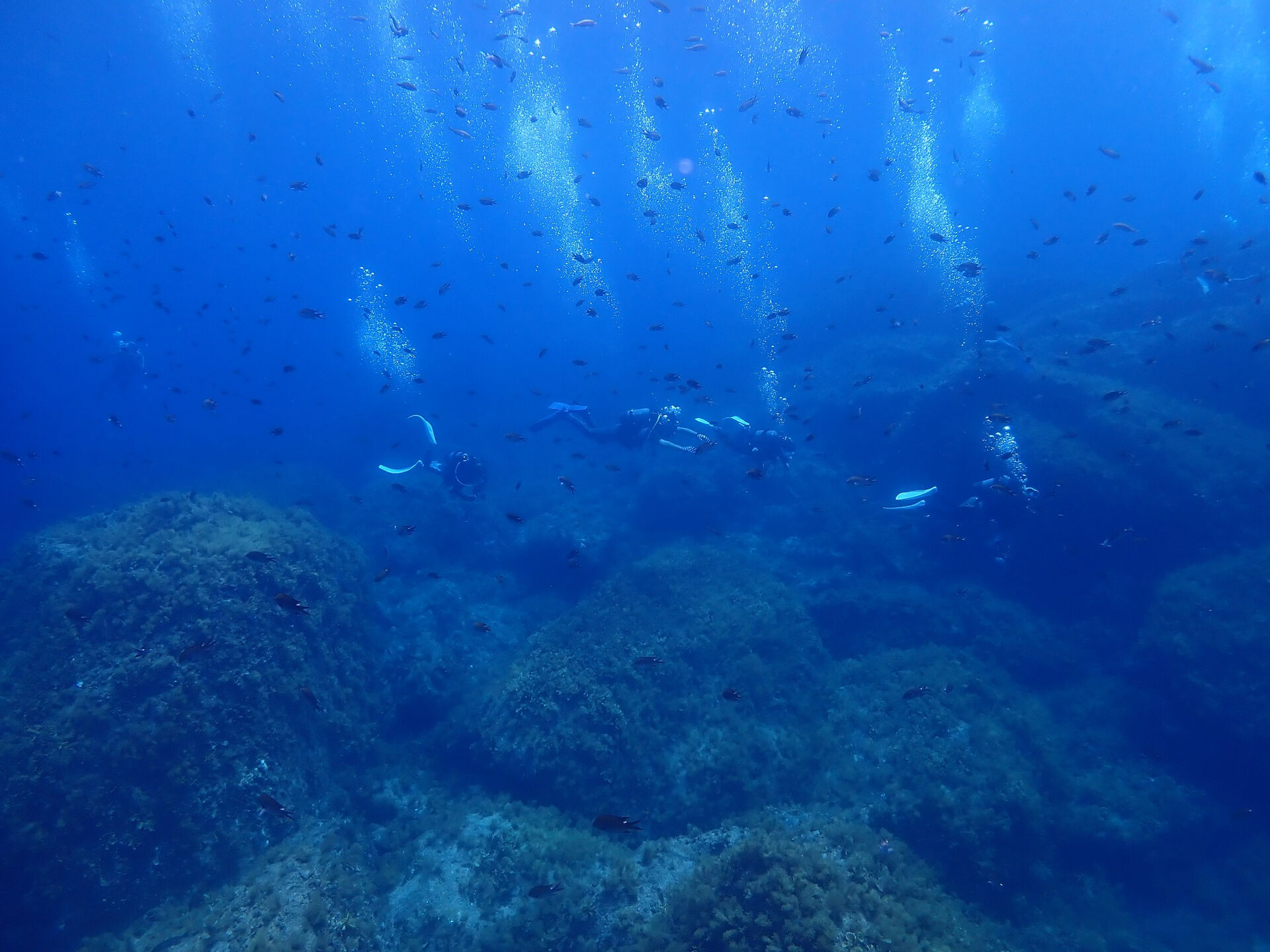 @rk.diving