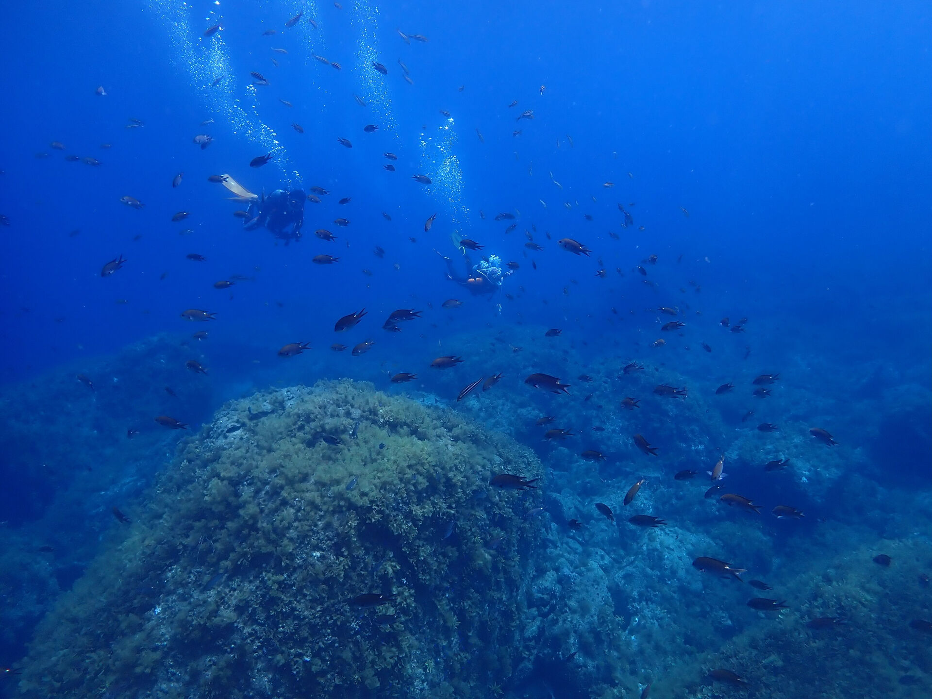 @rk.diving