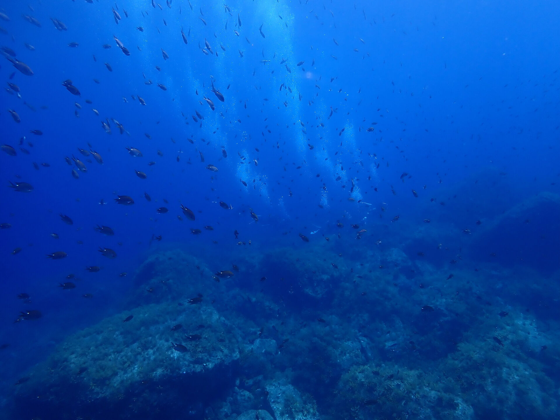 @rk.diving