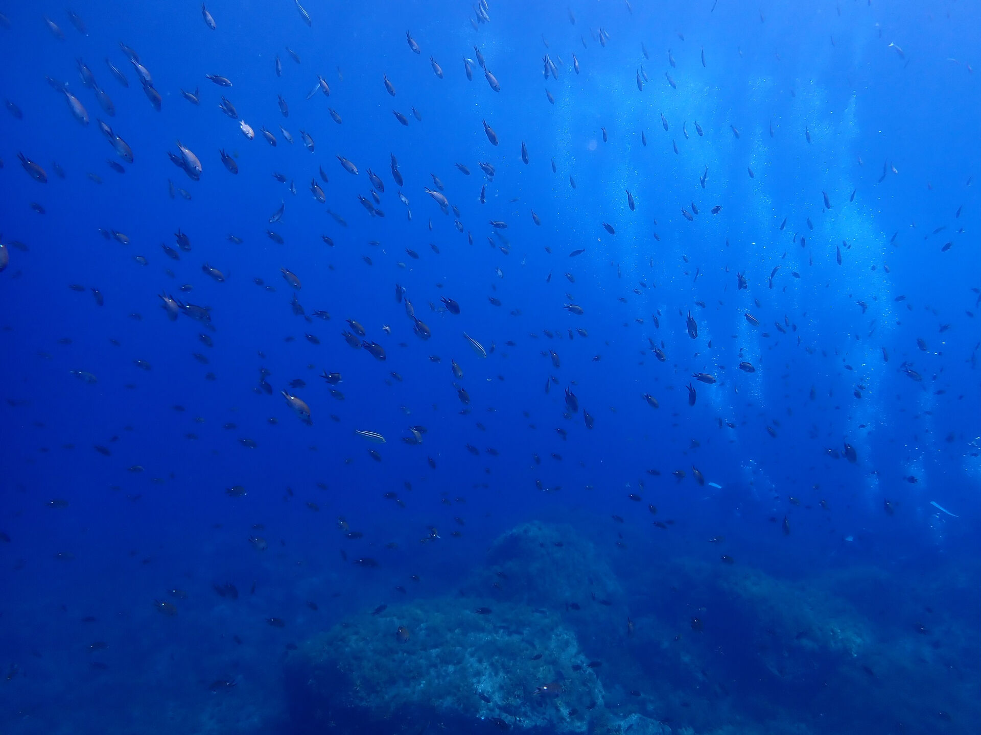 @rk.diving
