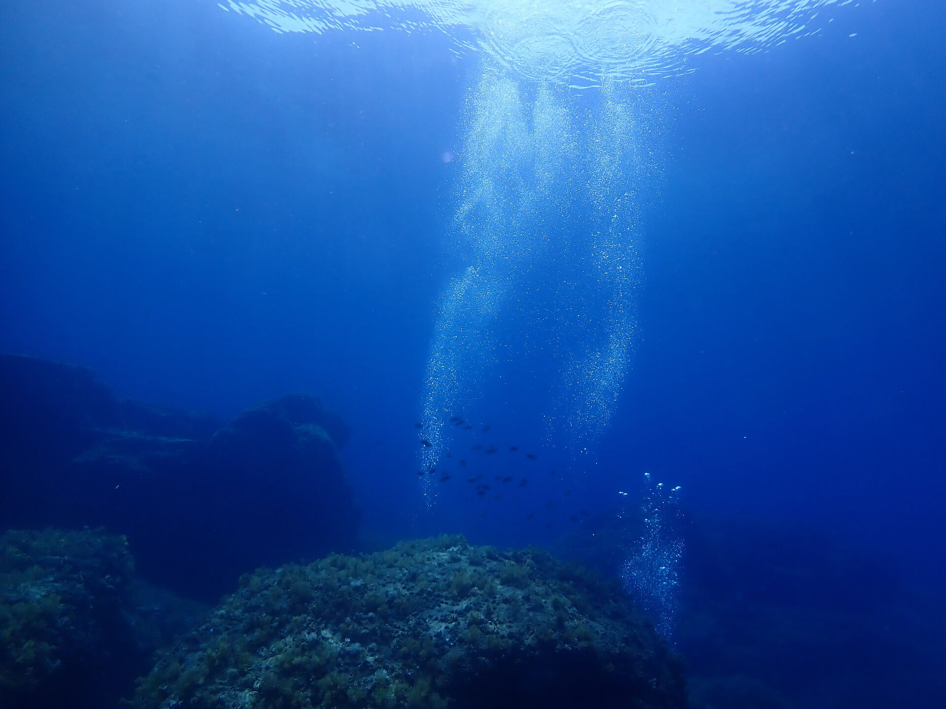 @rk.diving