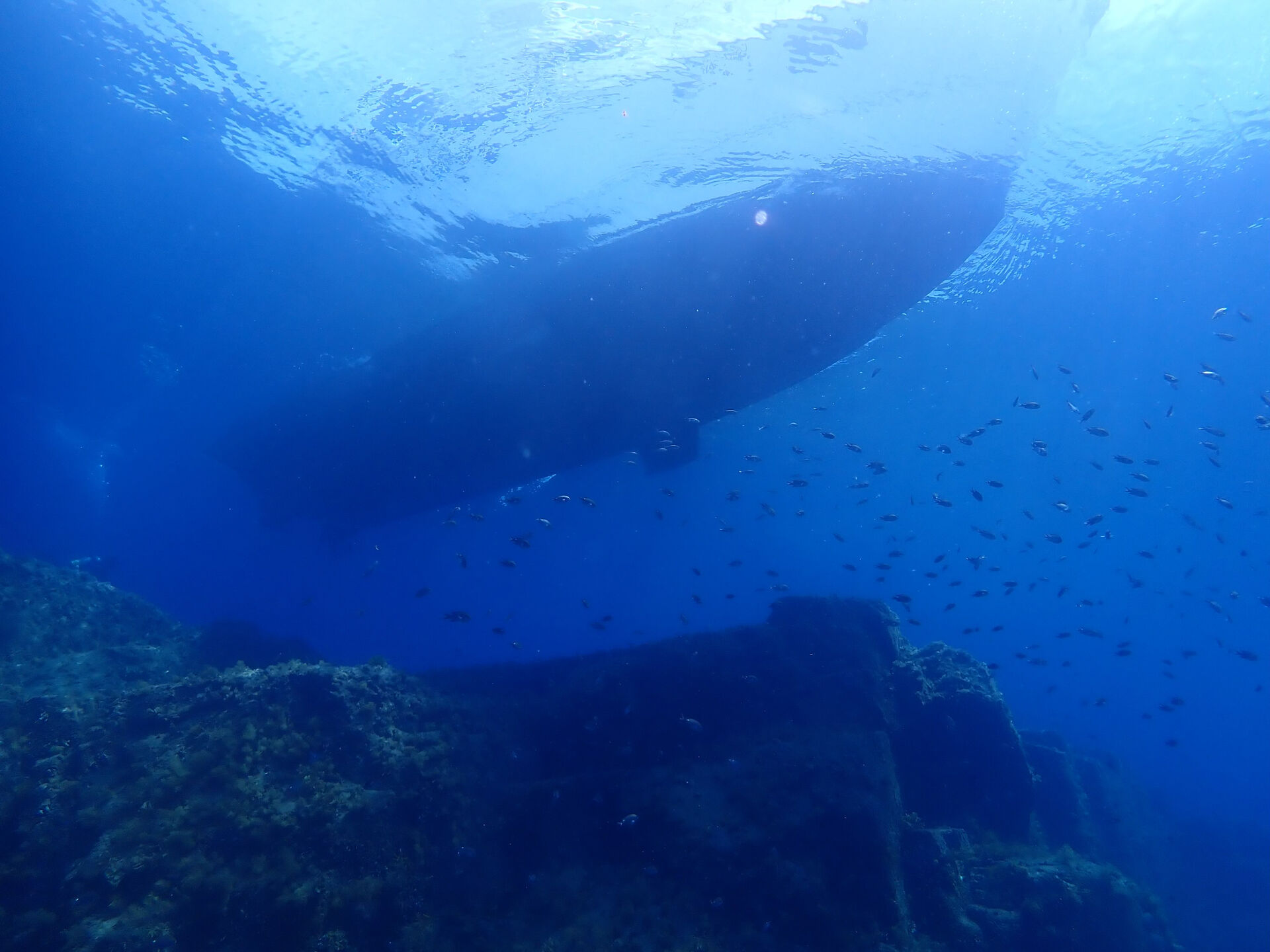 @rk.diving
