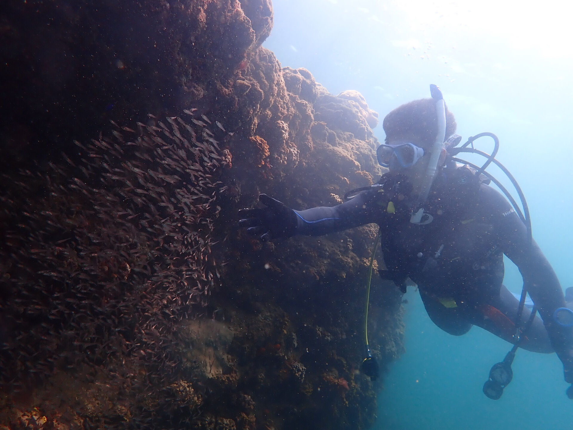 @rk.diving