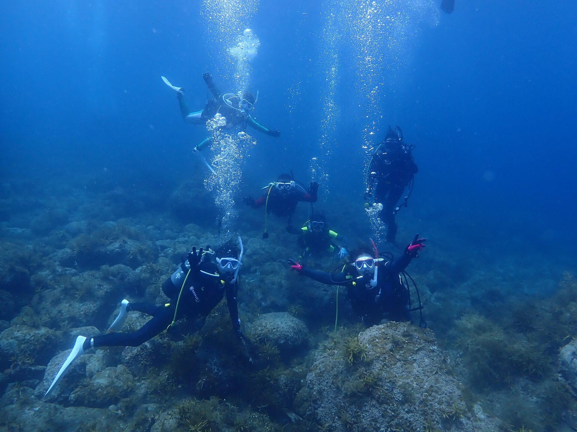 @rk.diving