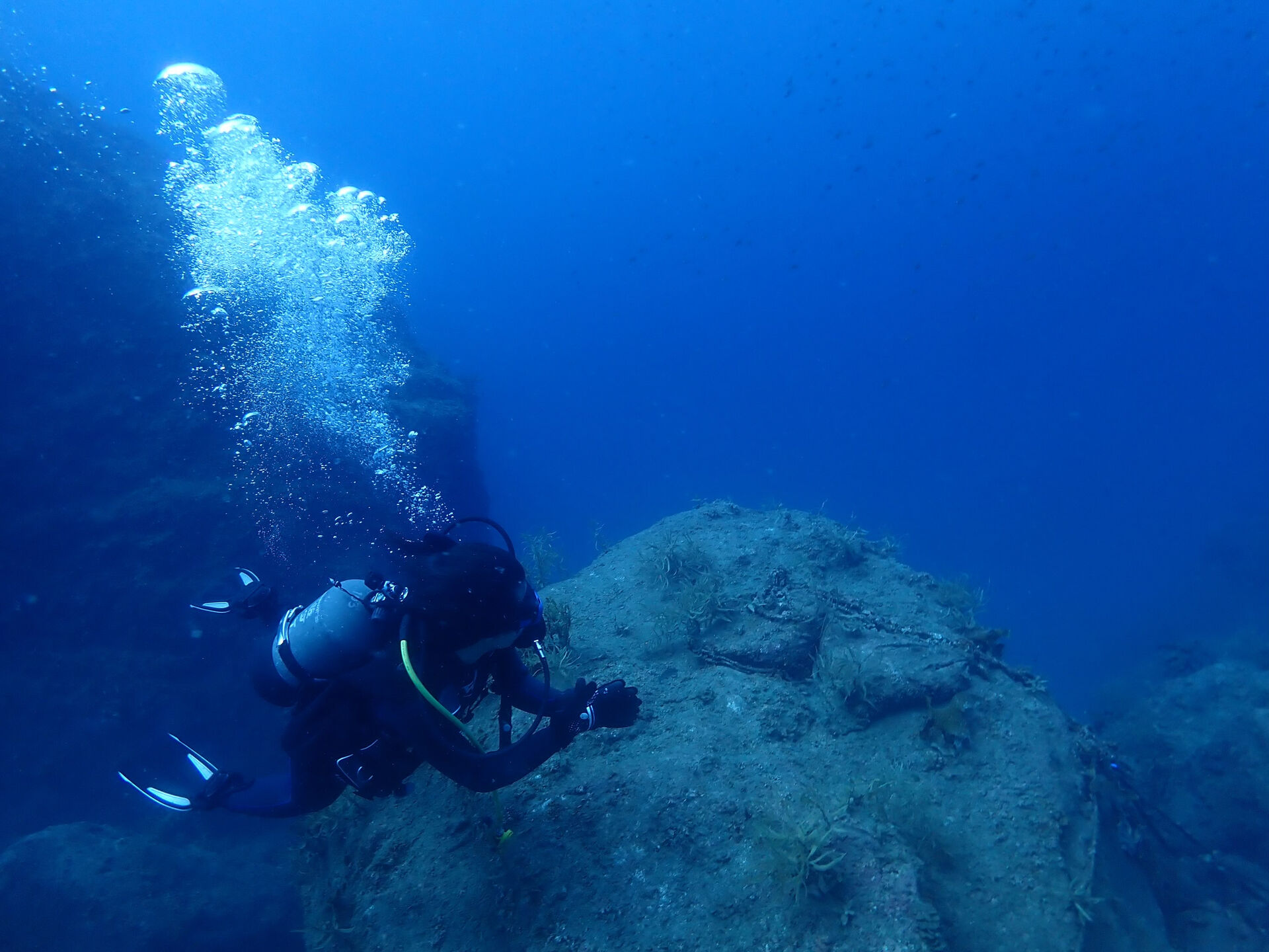 @rk.diving