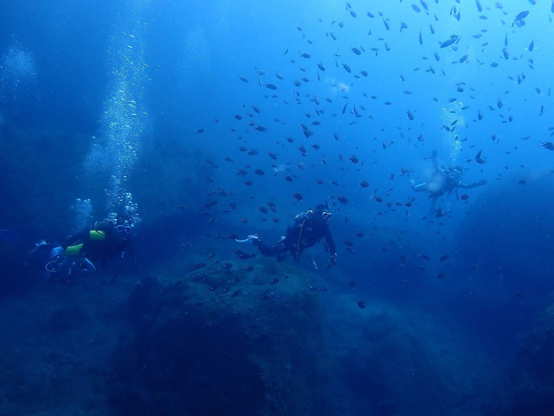 @rk.diving