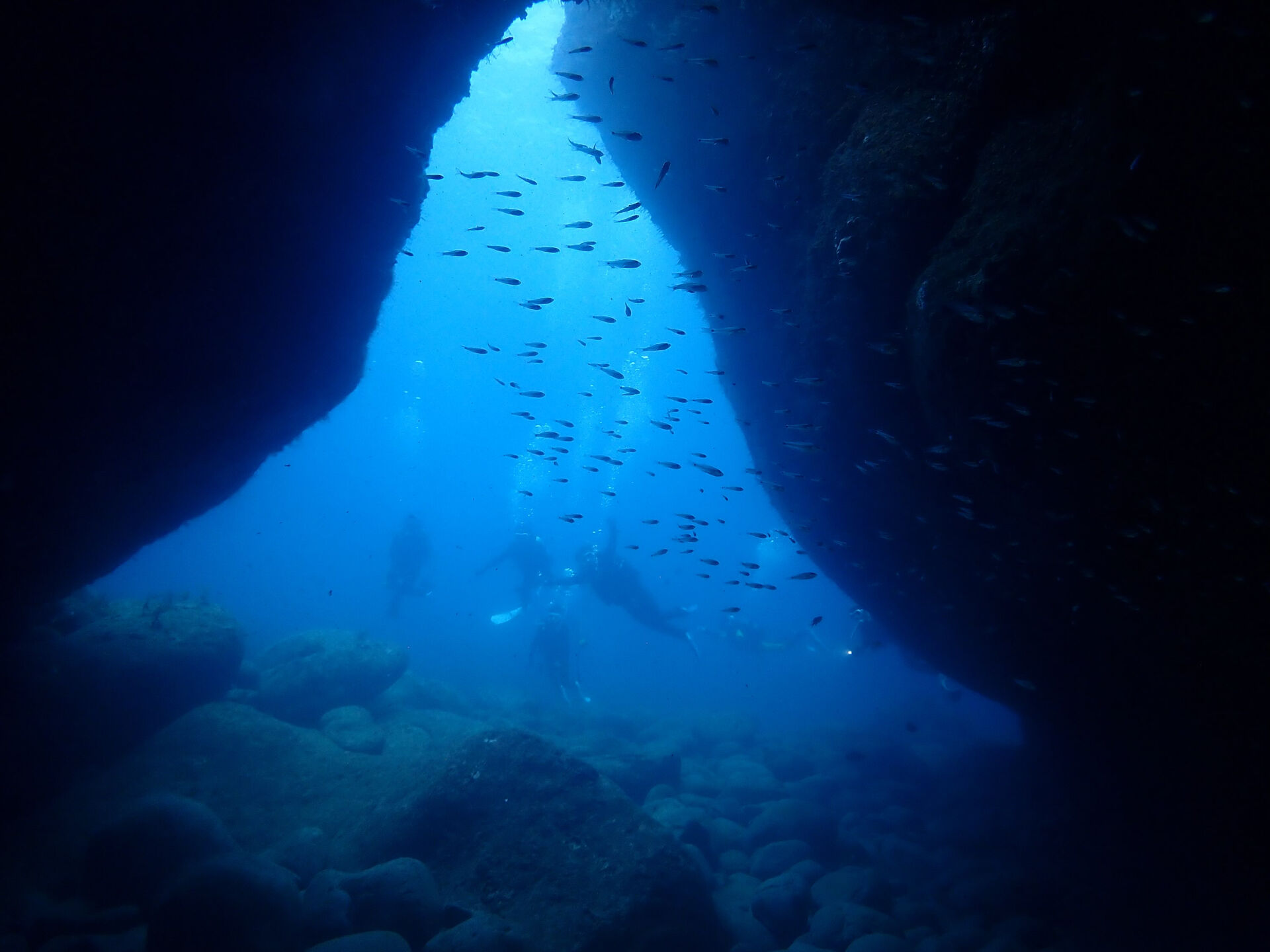 @rk.diving