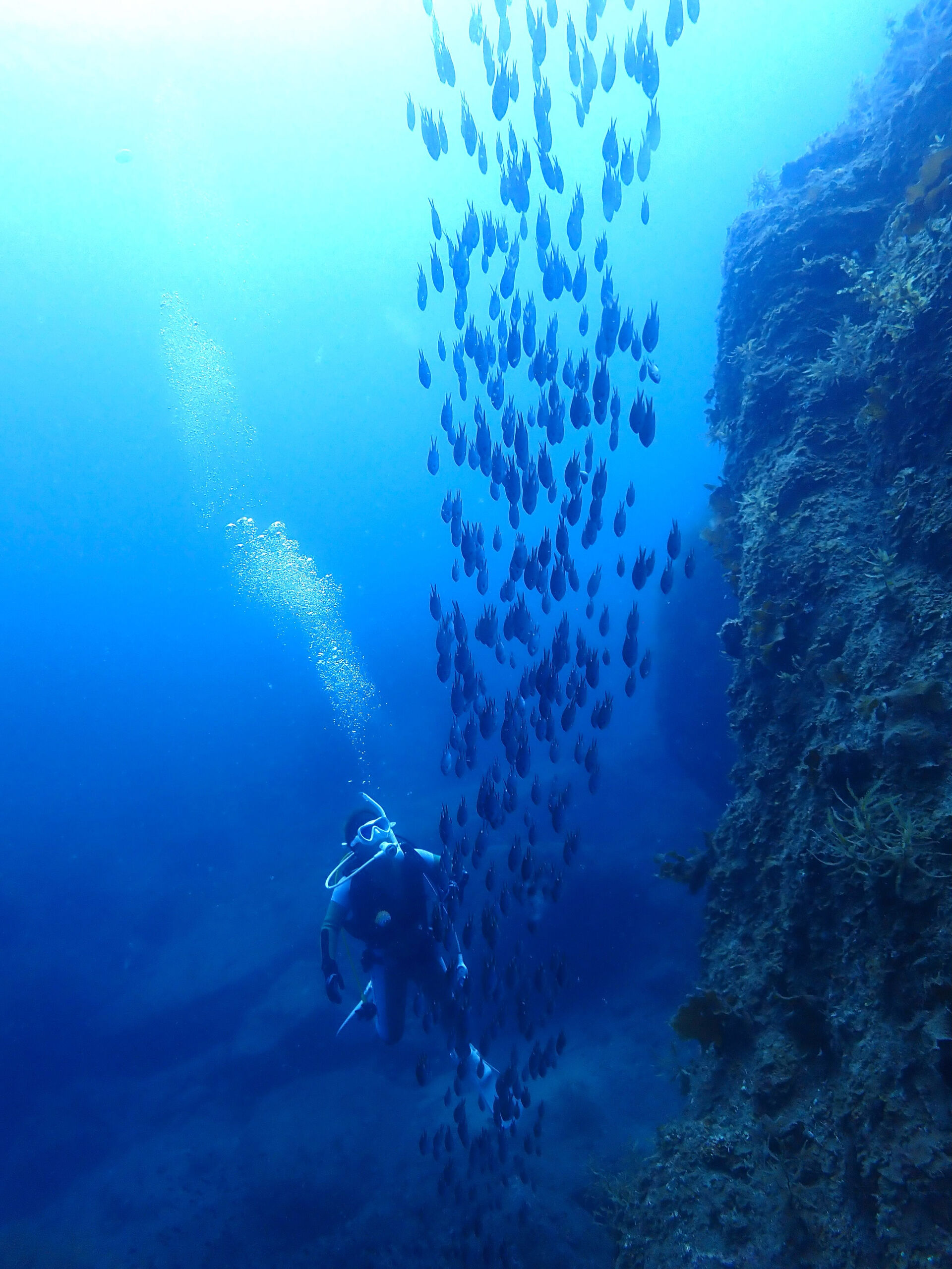 @rk.diving