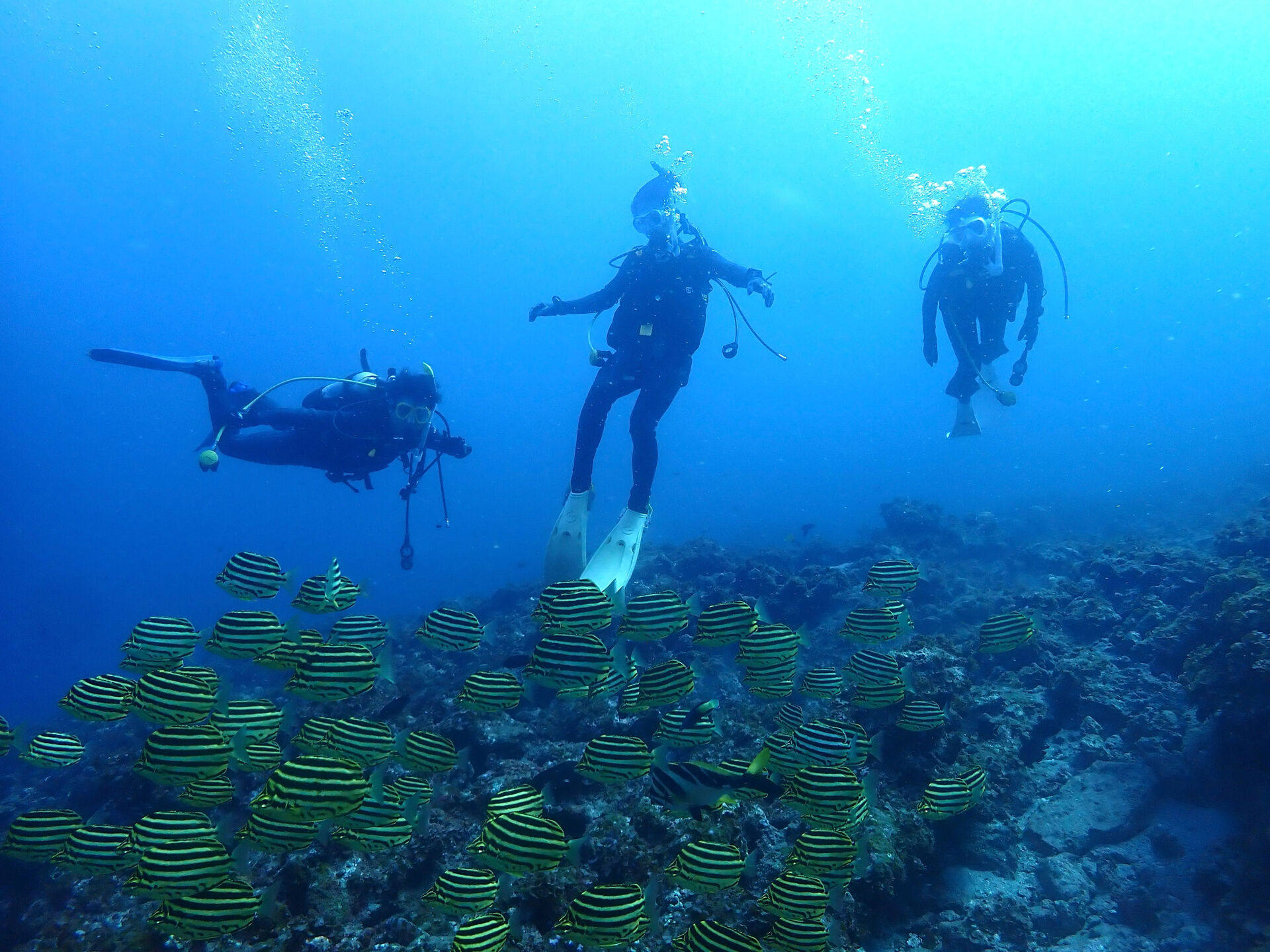 @rk.diving
