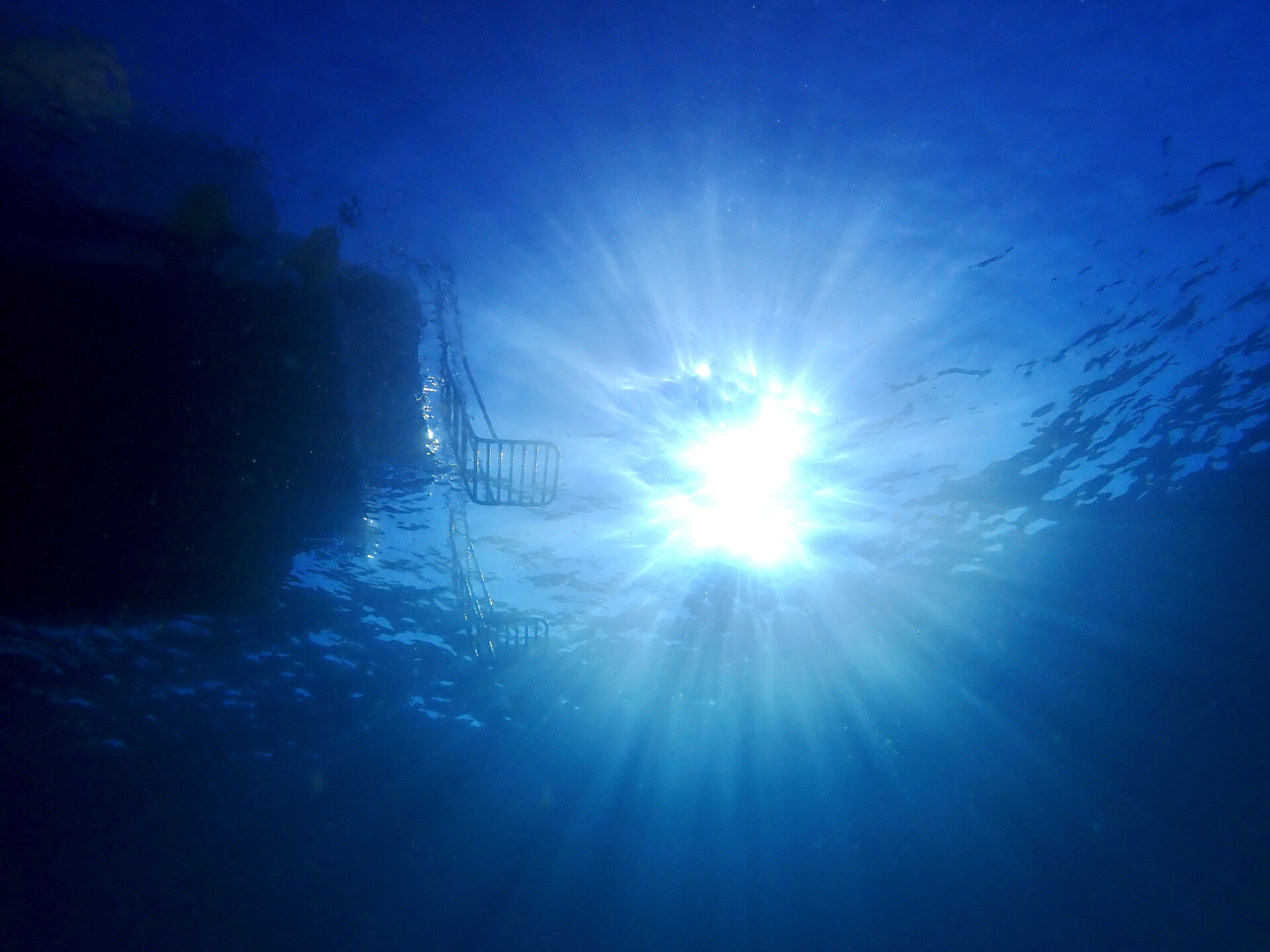 @rk.diving