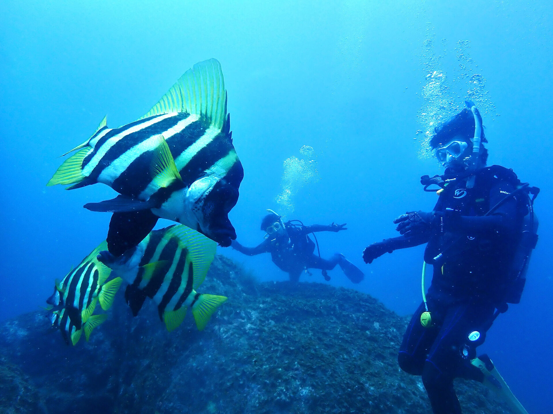 @rk.diving