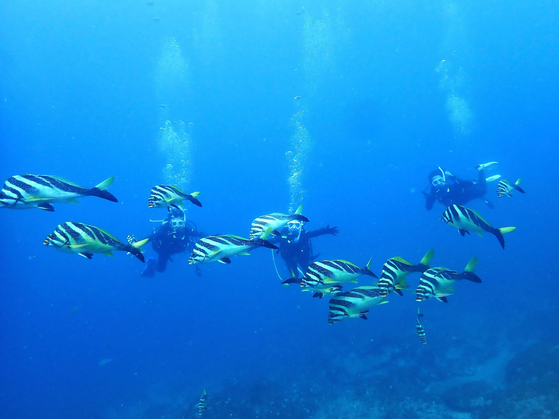 @rk.diving