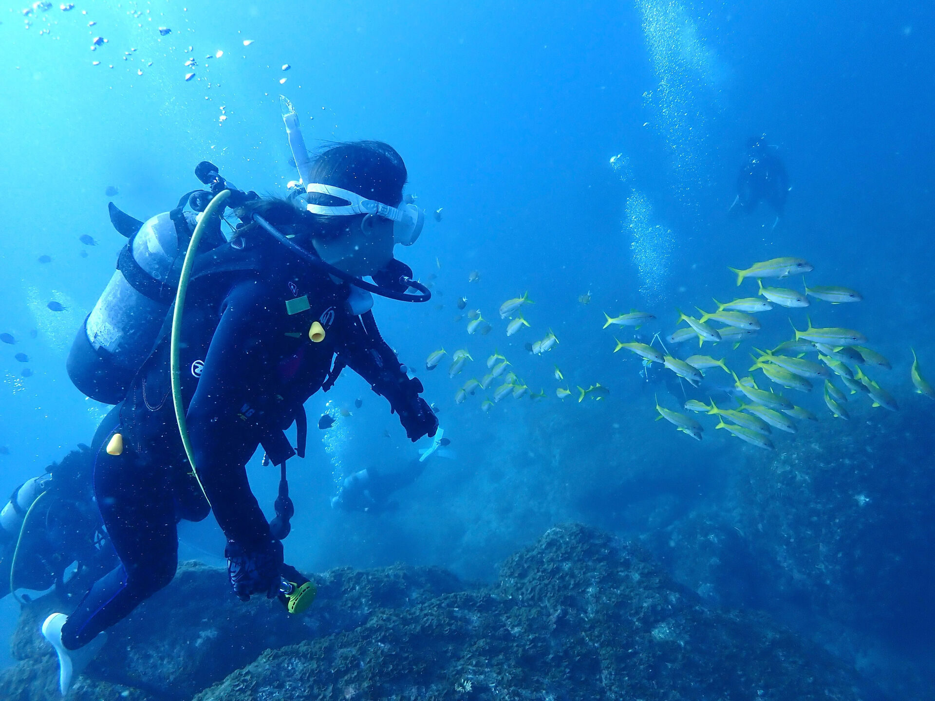 @rk.diving